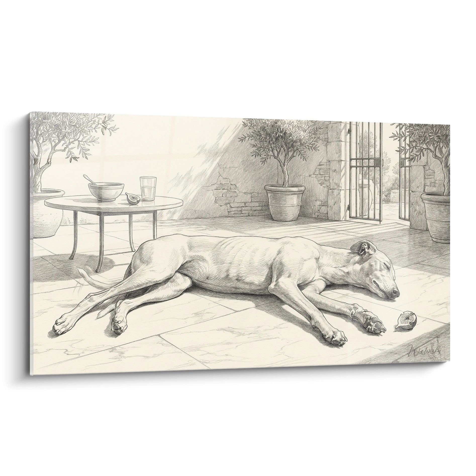 dessin crayon levrier greyhound endormi terrasse ensoleilee tons sepia beige art animalier realiste