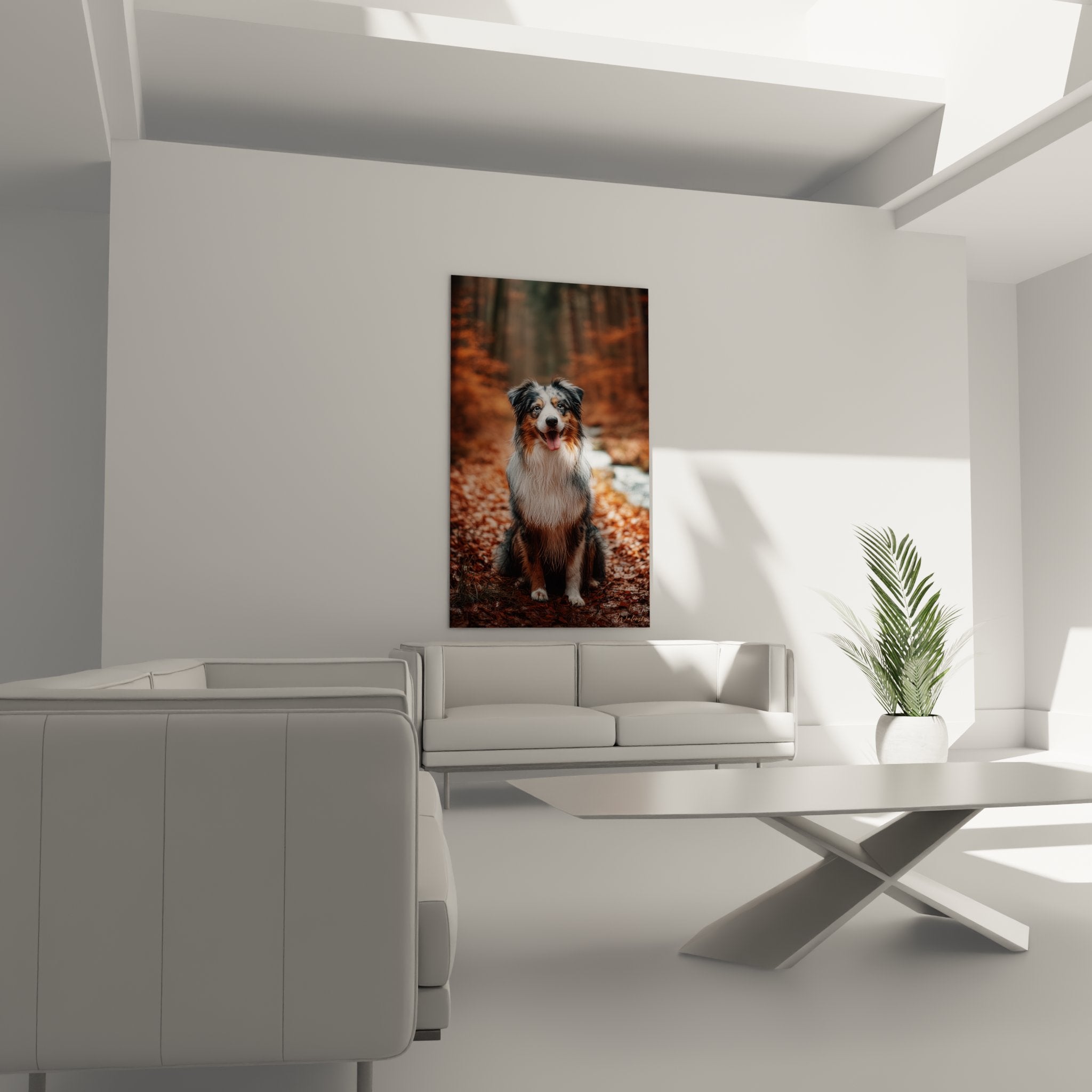 Nahaufnahme Australian Shepherd Gemälde ausdrucksstarke Augen dreifarbiges Fell realistische Details