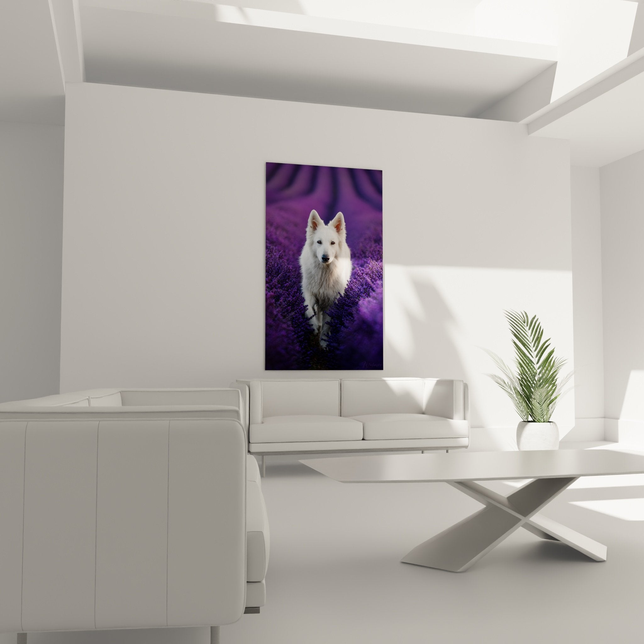 detail tableau chien blanc yeux expressifs pelage texture lavandes violettes art animalier