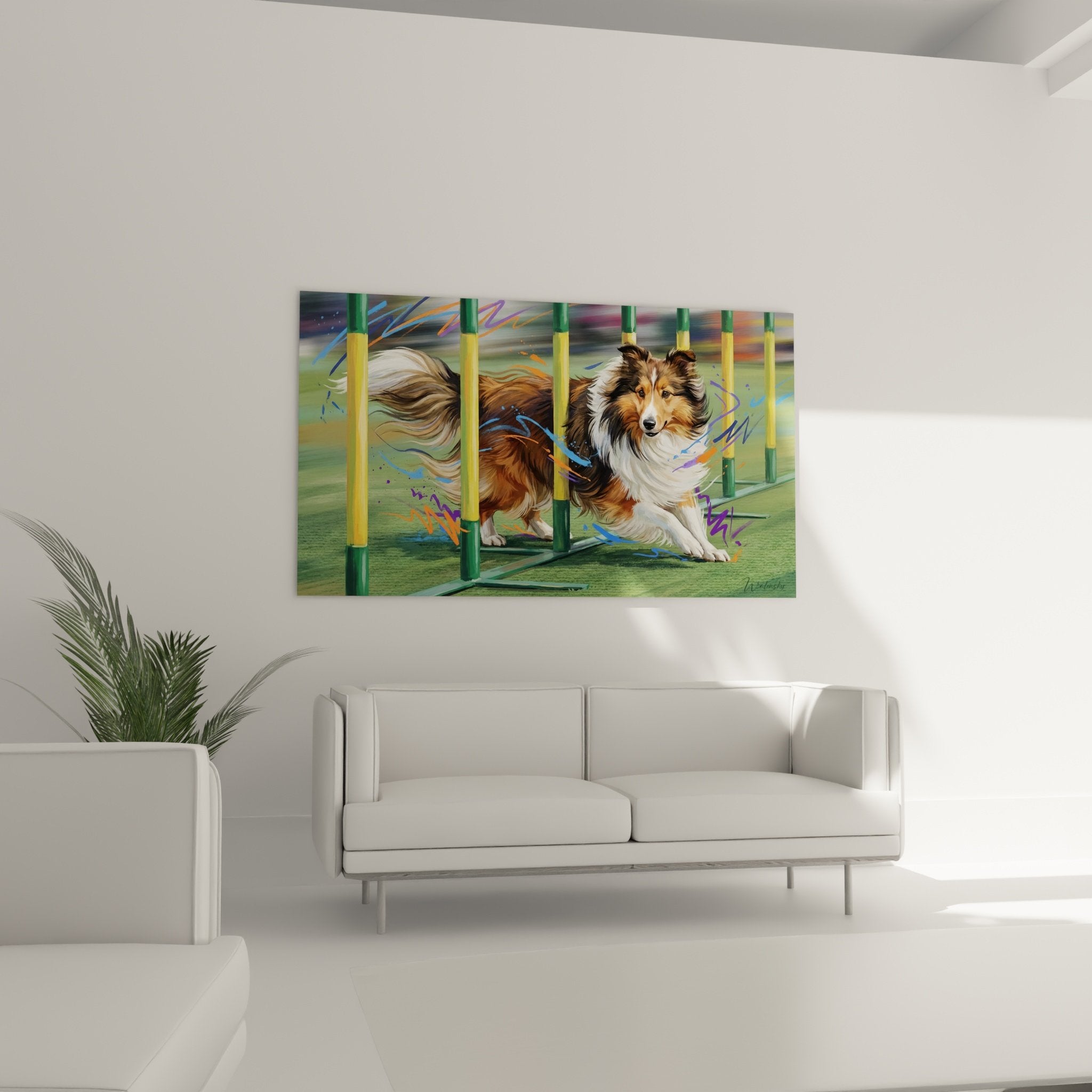 Detail berger shetland tricolore pelage brun blanc noir expression concentree agilite