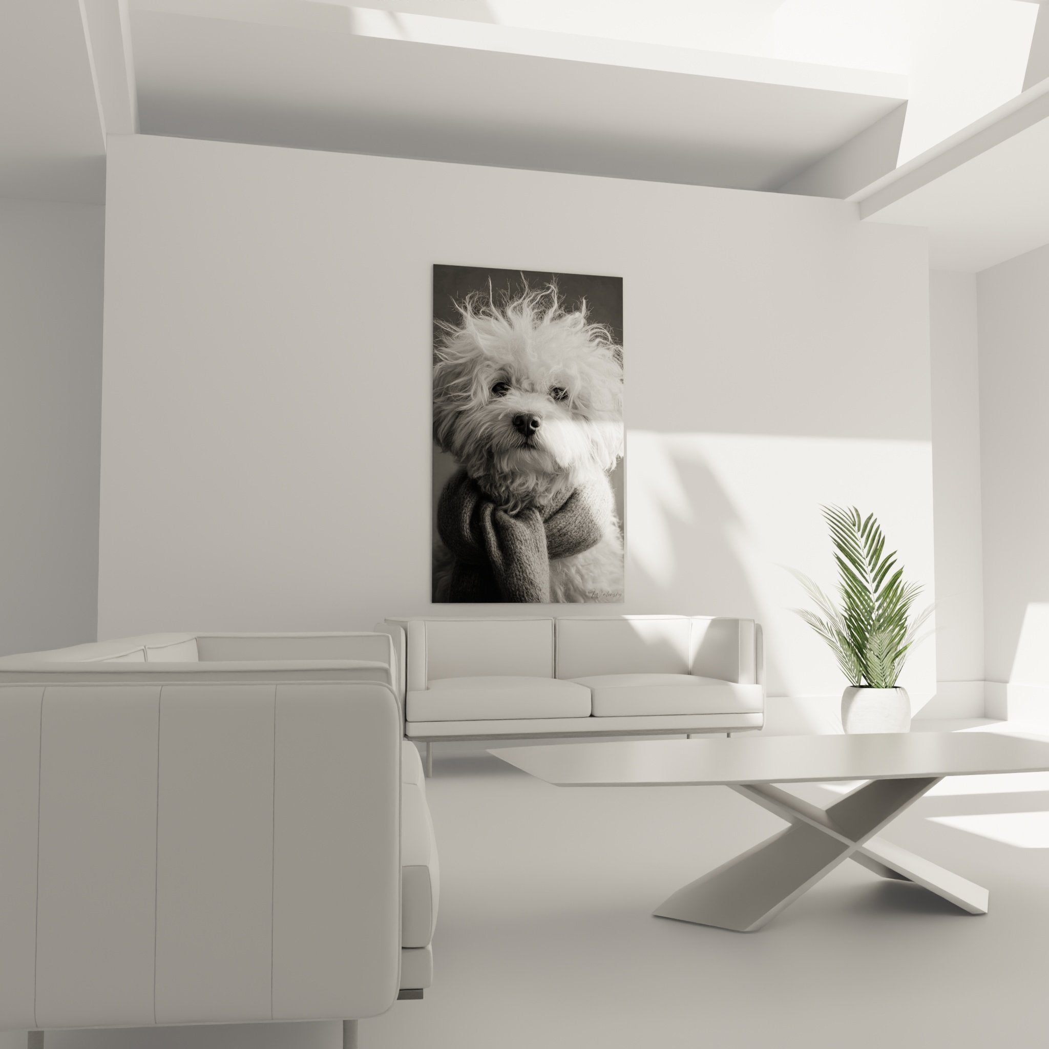 Detail portrait bichon frise yeux expressifs pelage boucle pull tricote noir texture contrastee