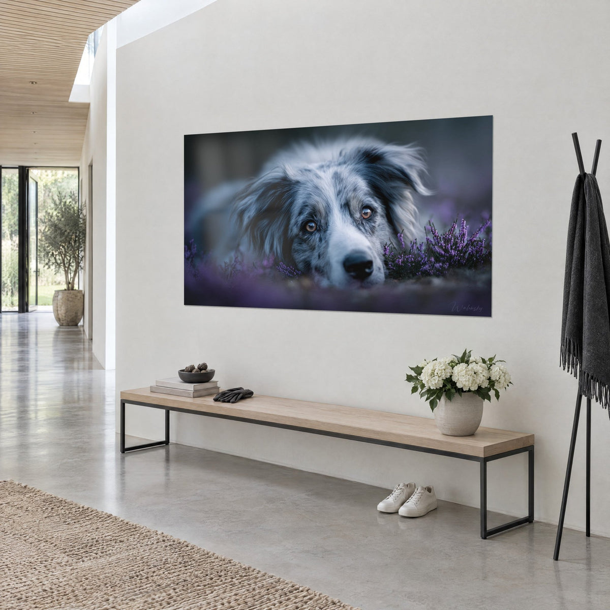 Πίνακας border collie με γκρι σχιστολιθικό και λευκό τρίχωμα, μαύρο ρύγχος ακουμπισμένο στη λεβάντα, τρίτο προφίλ σε ανοιχτόχρωμο τοίχο