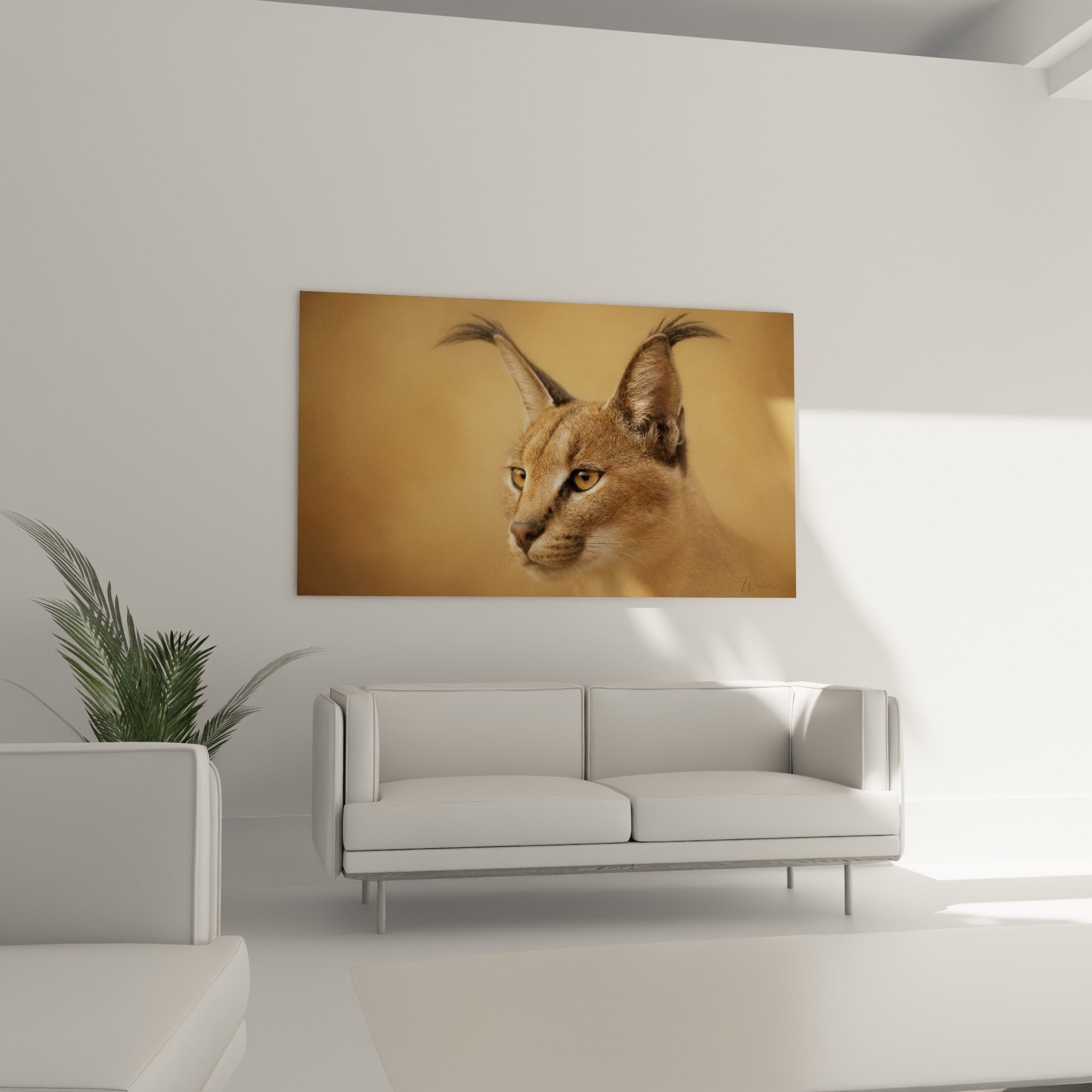Détail yeux ambrés caracal pelage fauve texture réaliste portrait animalier qualité