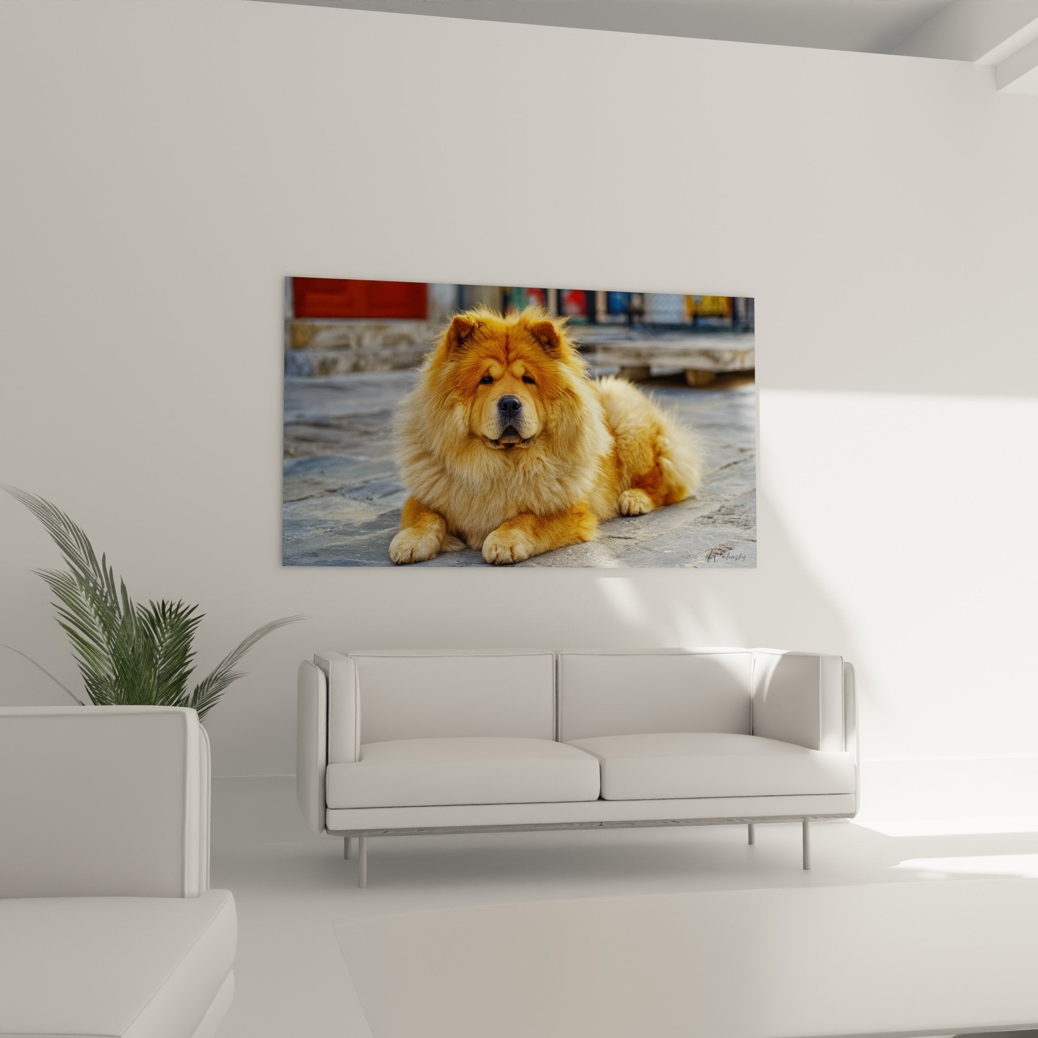 Détail portrait Chow Chow, texture pelage cuivré et expression bienveillante en gros plan