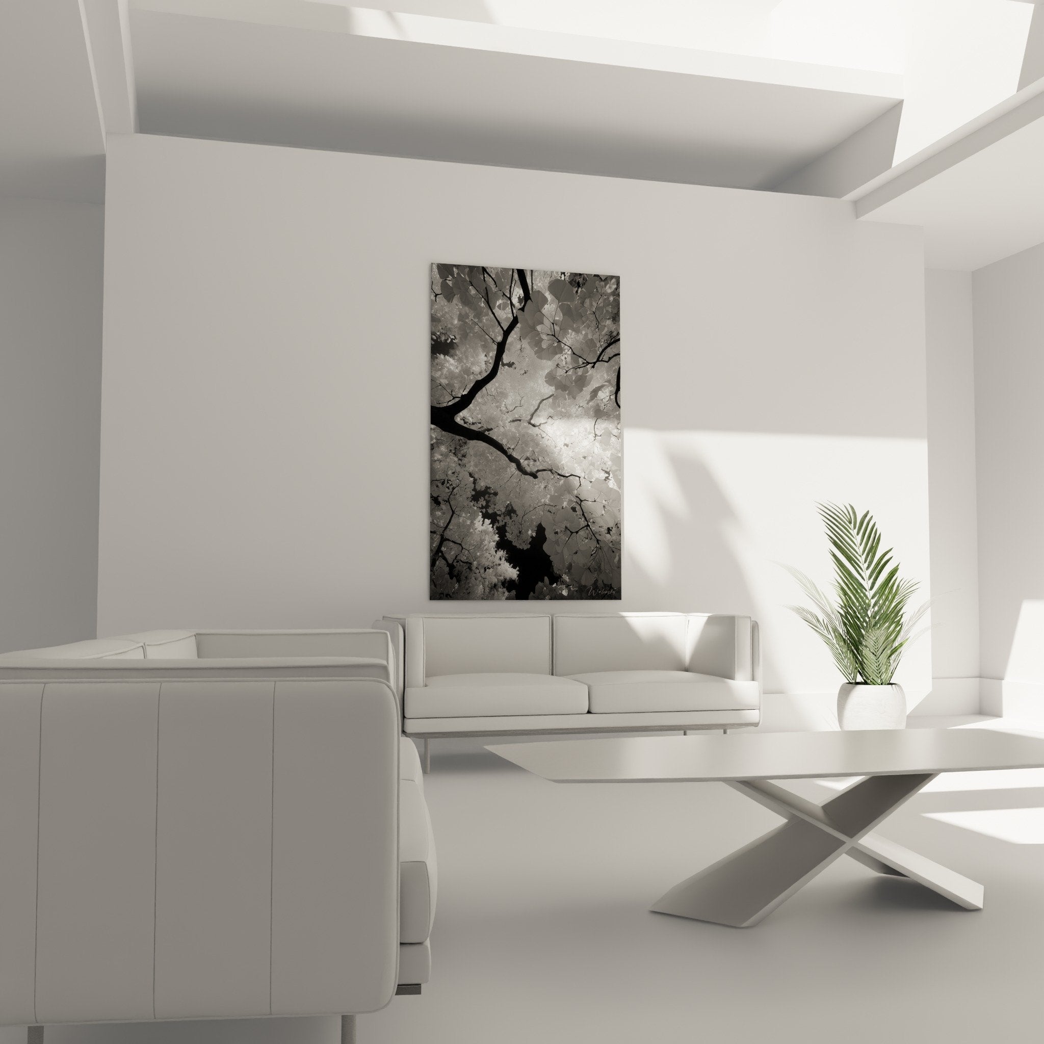 Detail feuilles ginkgo biloba forme eventail branches sombres contraste monochrome texture vegetale