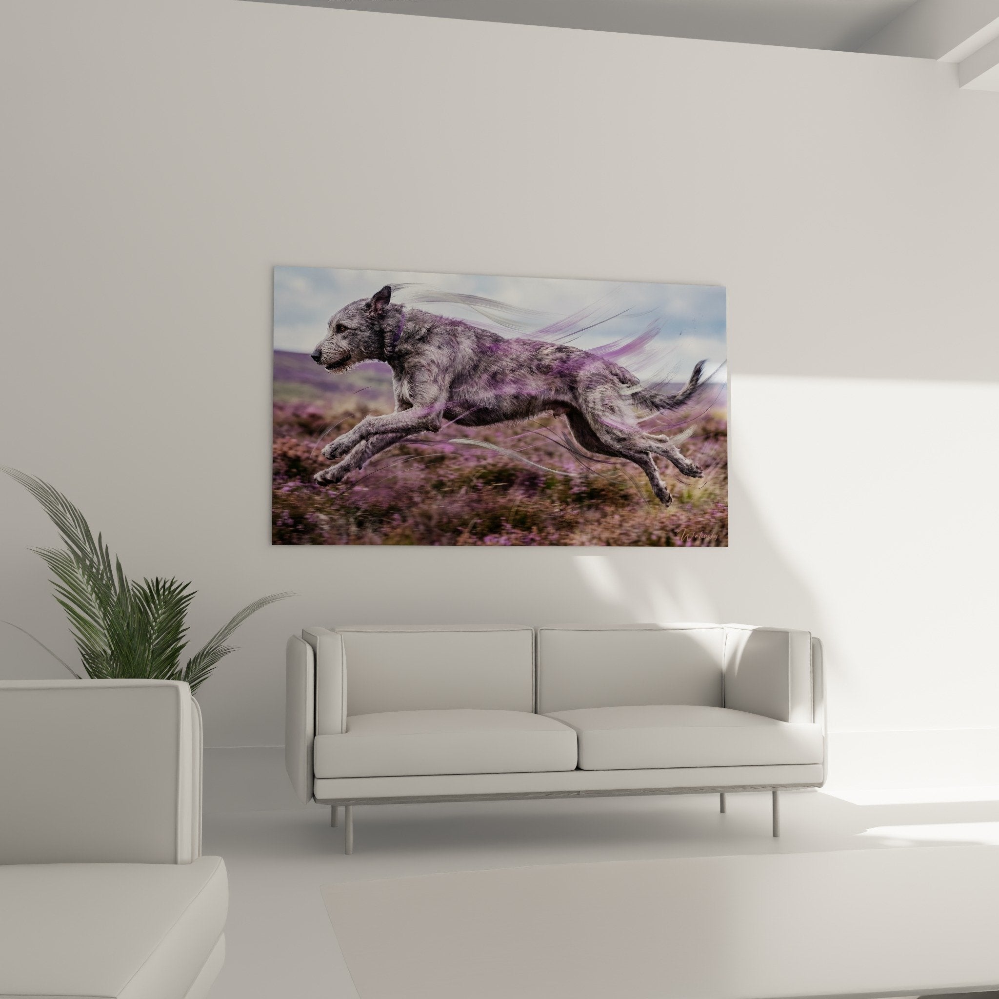 detailansicht irischer wolfshund nuancen amethyst graubeige fell violette reflexe kunstlerische textur dynamische bewegung