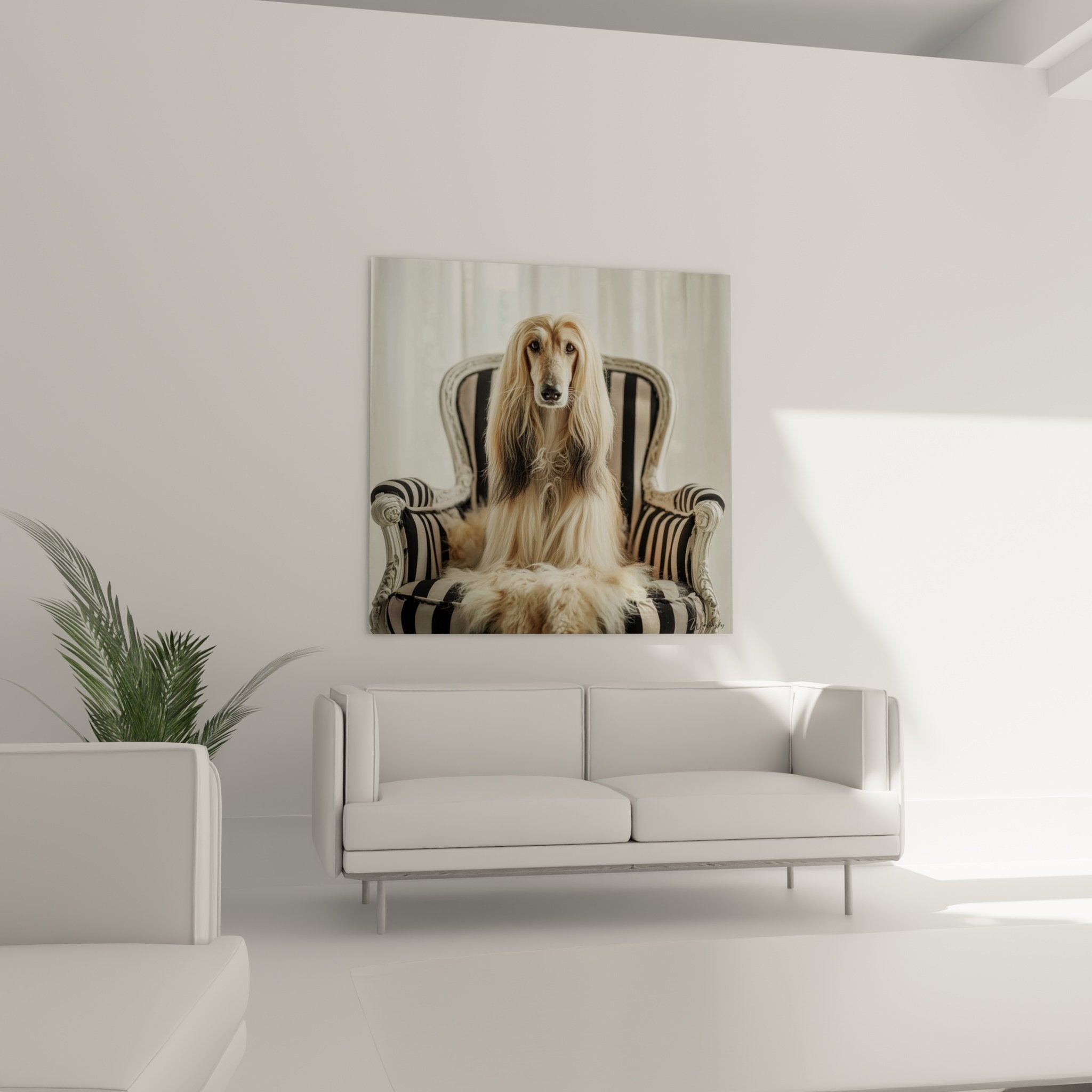 Detail portrait levrier afghan pelage soyeux dore expression noble regard profond