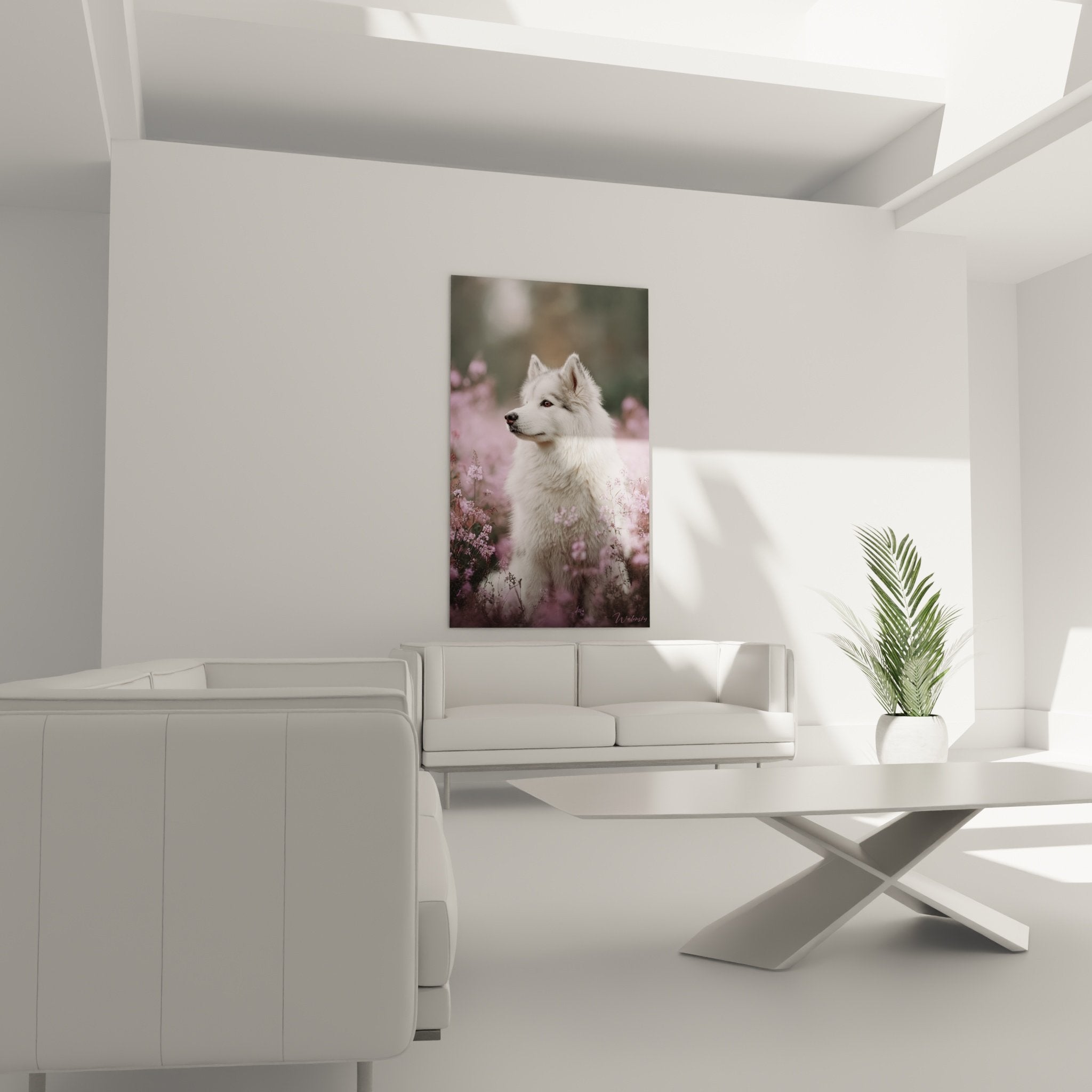 Detail tableau Malamute Alaska pelage gris argente blanc bruyeres roses flou artistique portrait animalier