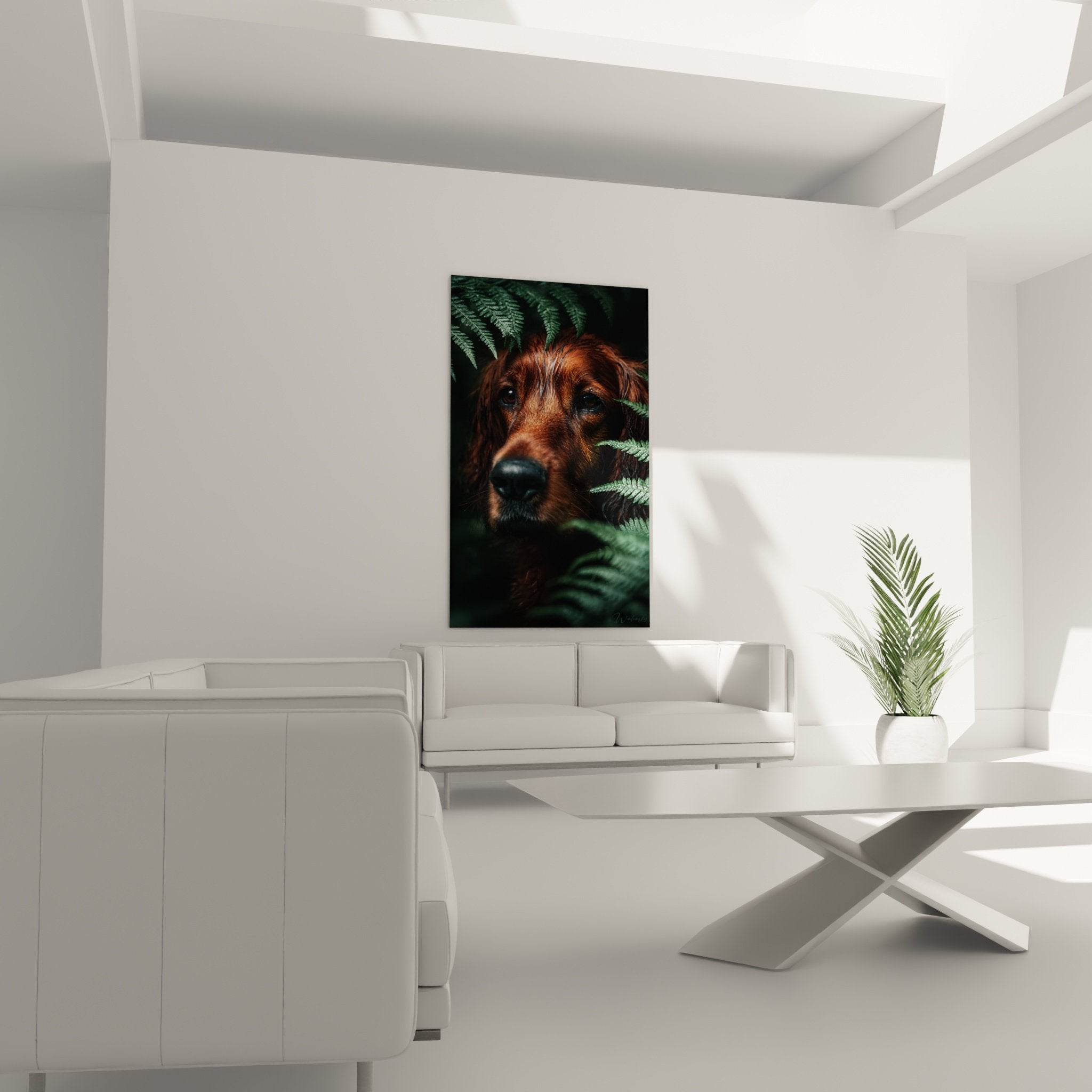 Irish Setter dog portrait detail muzzle black nose copper coat deep green ferns light