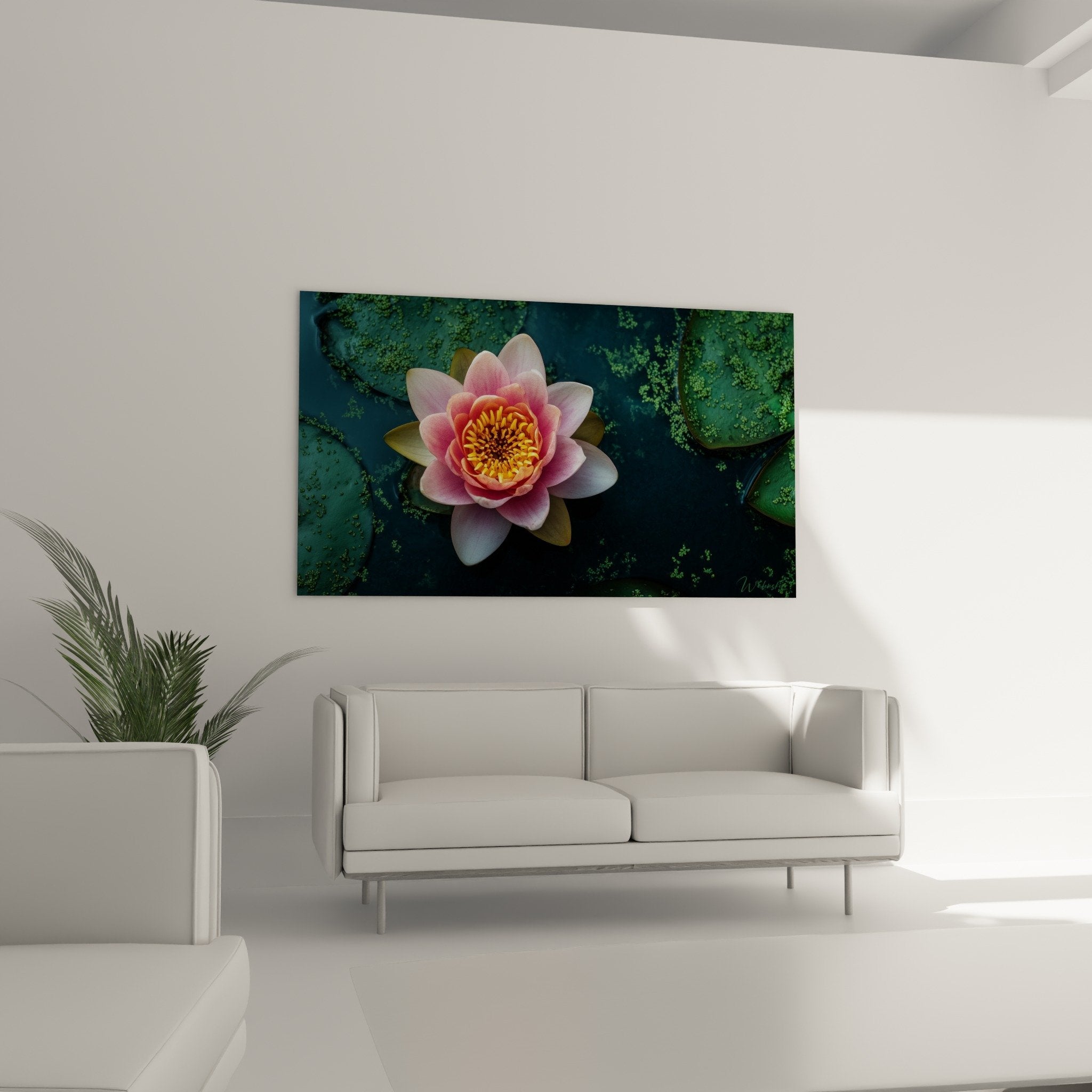 Détail gros plan nénuphare pétales roses cœur orange étamines dorées - art floral haute qualité