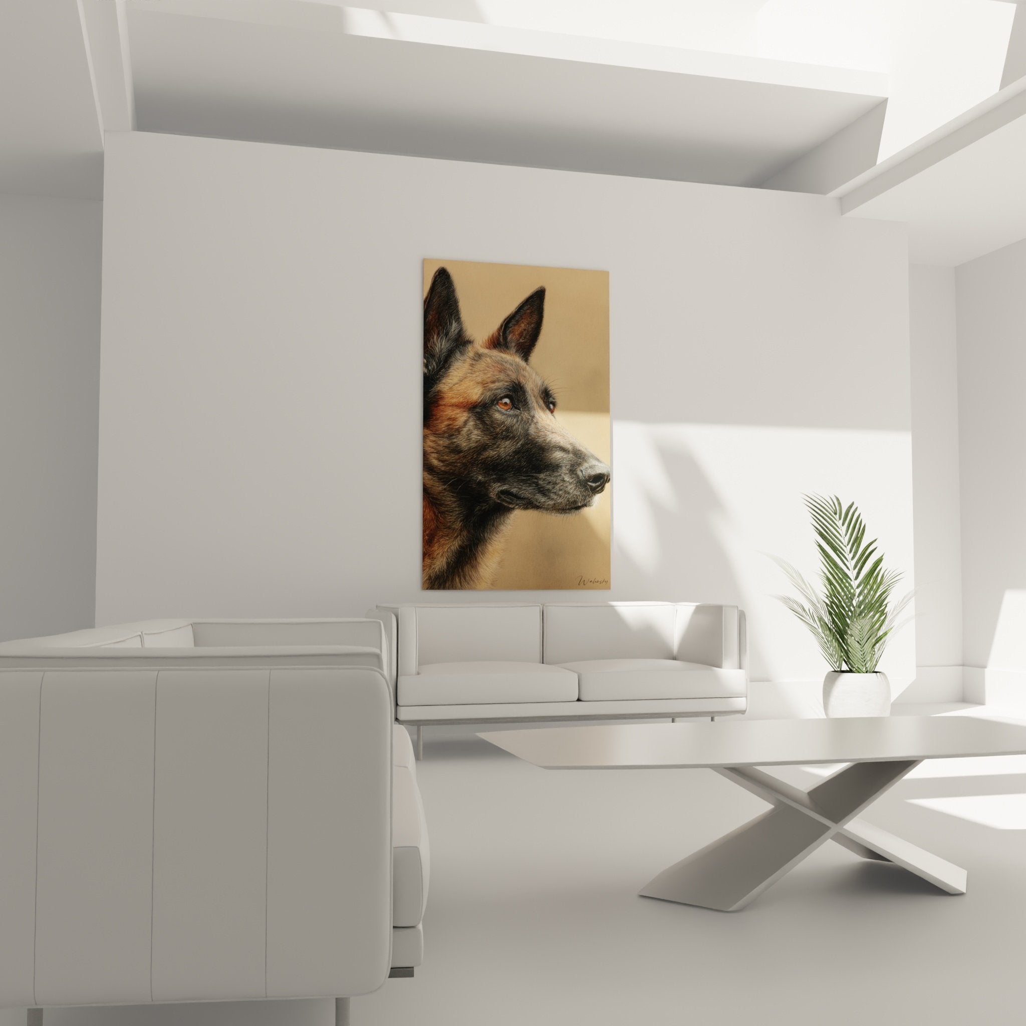 Détail portrait Berger Belge Malinois montrant pelage fauve détaillé et yeux couleur miel