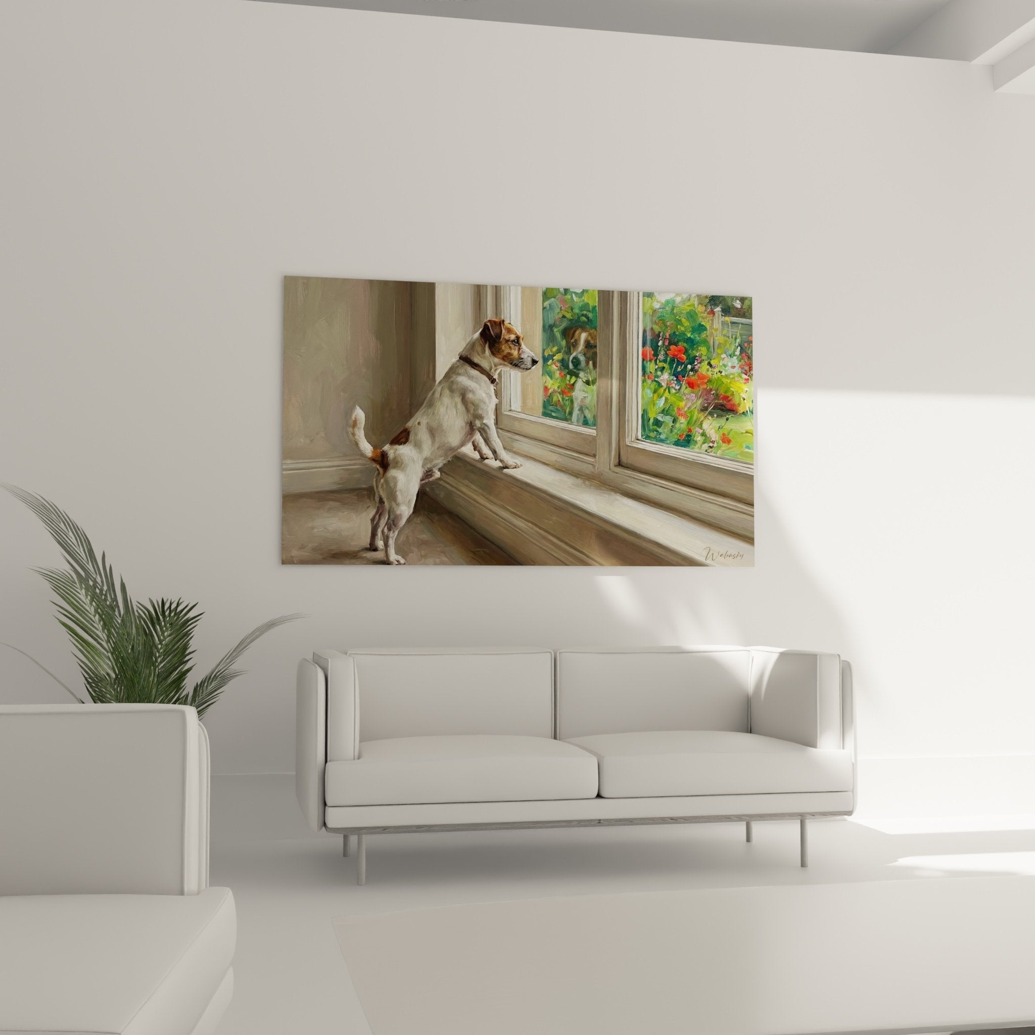 Détail pelage Jack Russel Terrier blanc et roux dans lumière naturelle de fenêtre