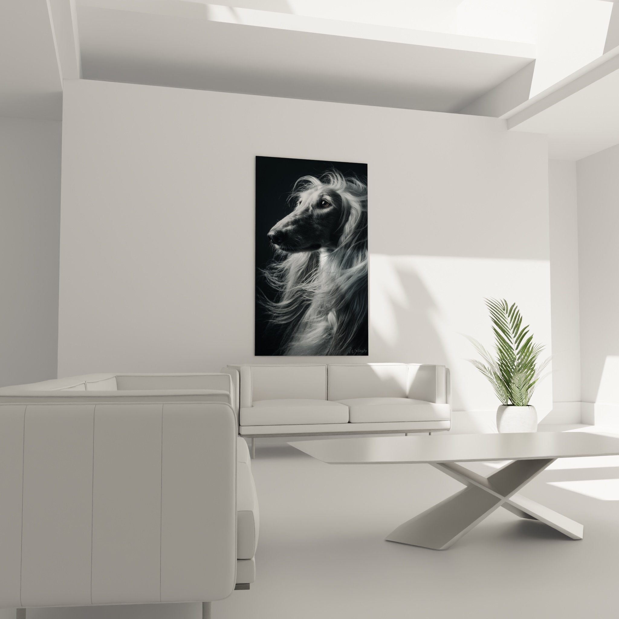 Gros plan sur les détails du pelage argenté et l'expression mélancolique du Levrier Afghan