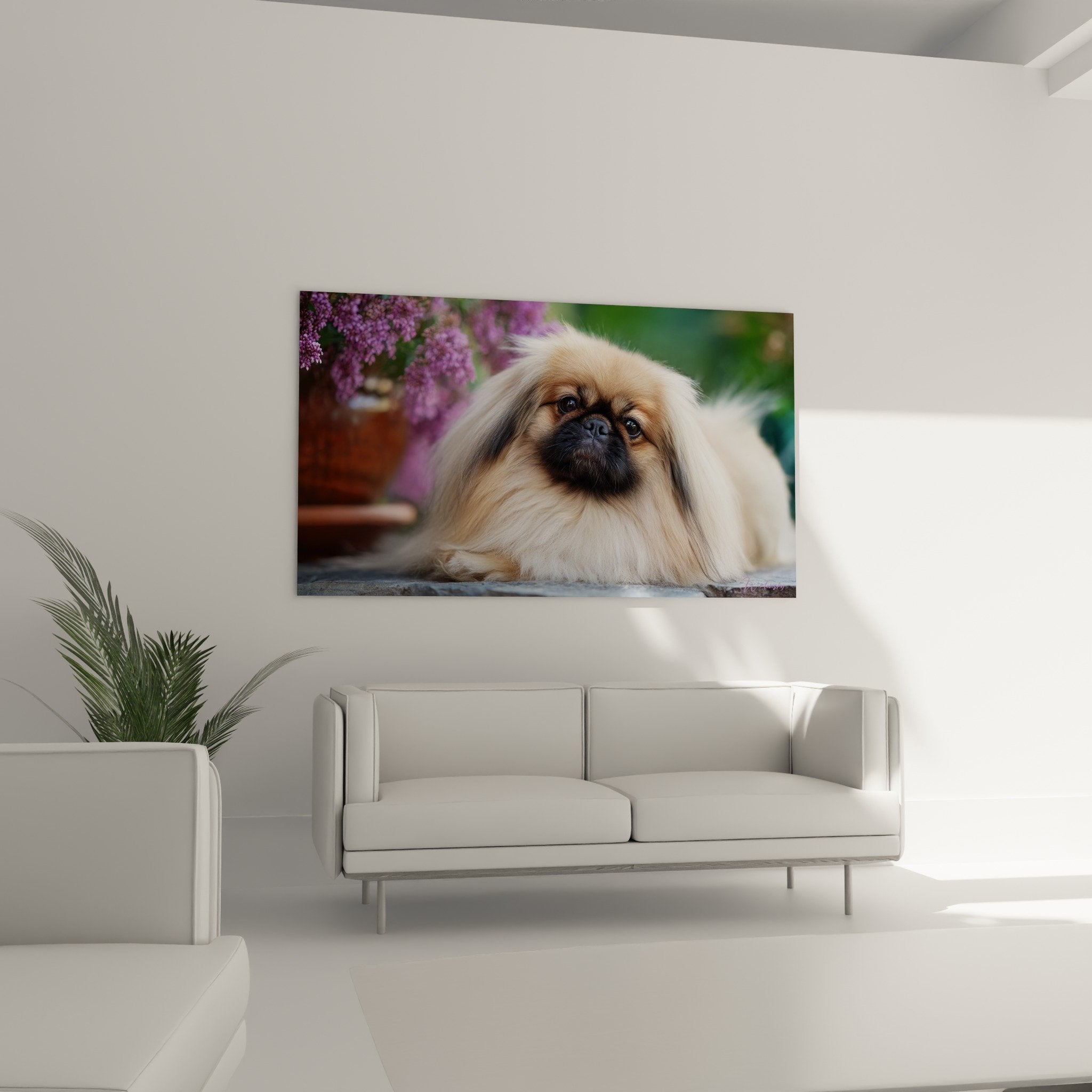 Detail pelage soyeux pekinois dore yeux expressifs texture realiste portrait animalier