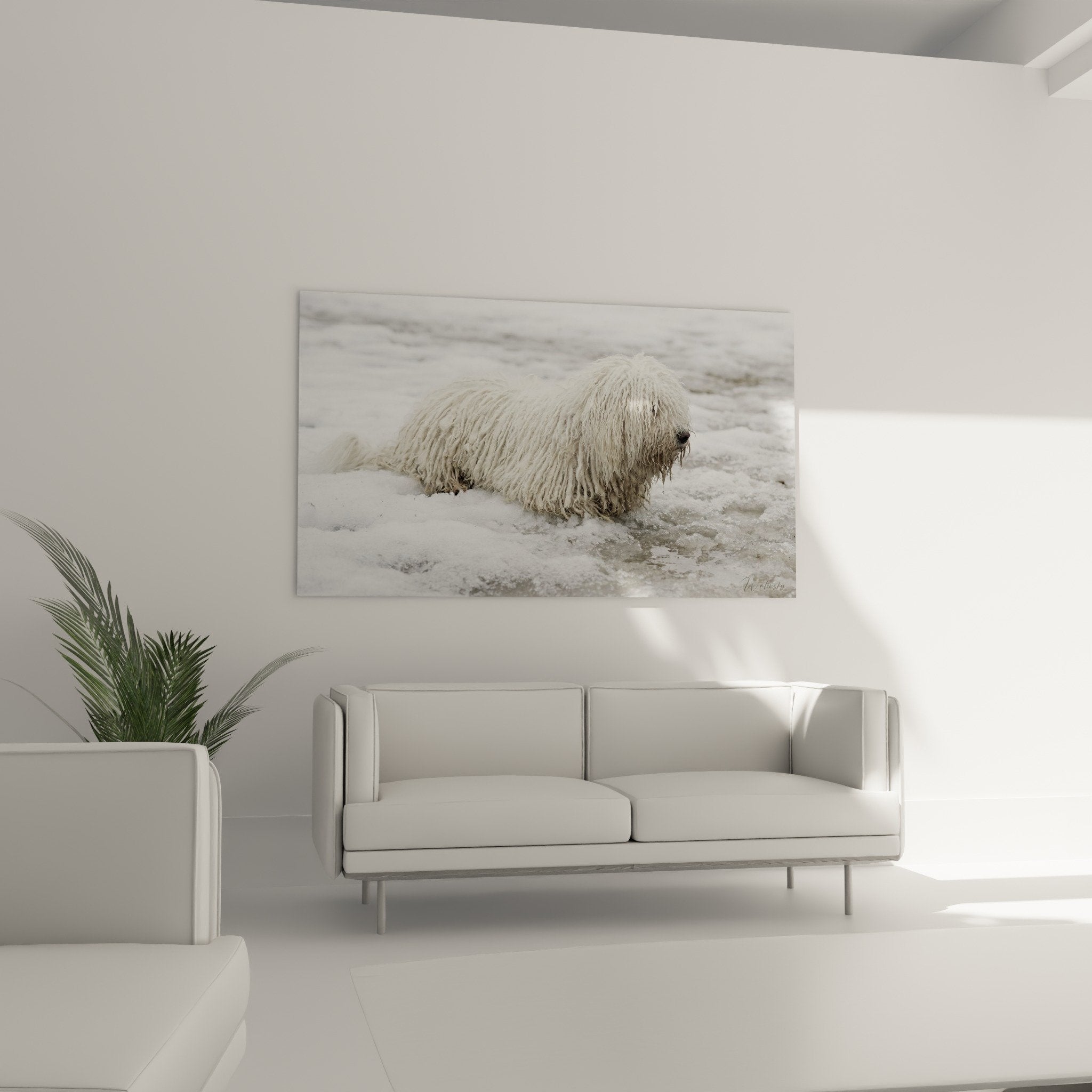 Gros plan pelage blanc puli dans neige, texture poils longs chien hongrois tableau art animalier
