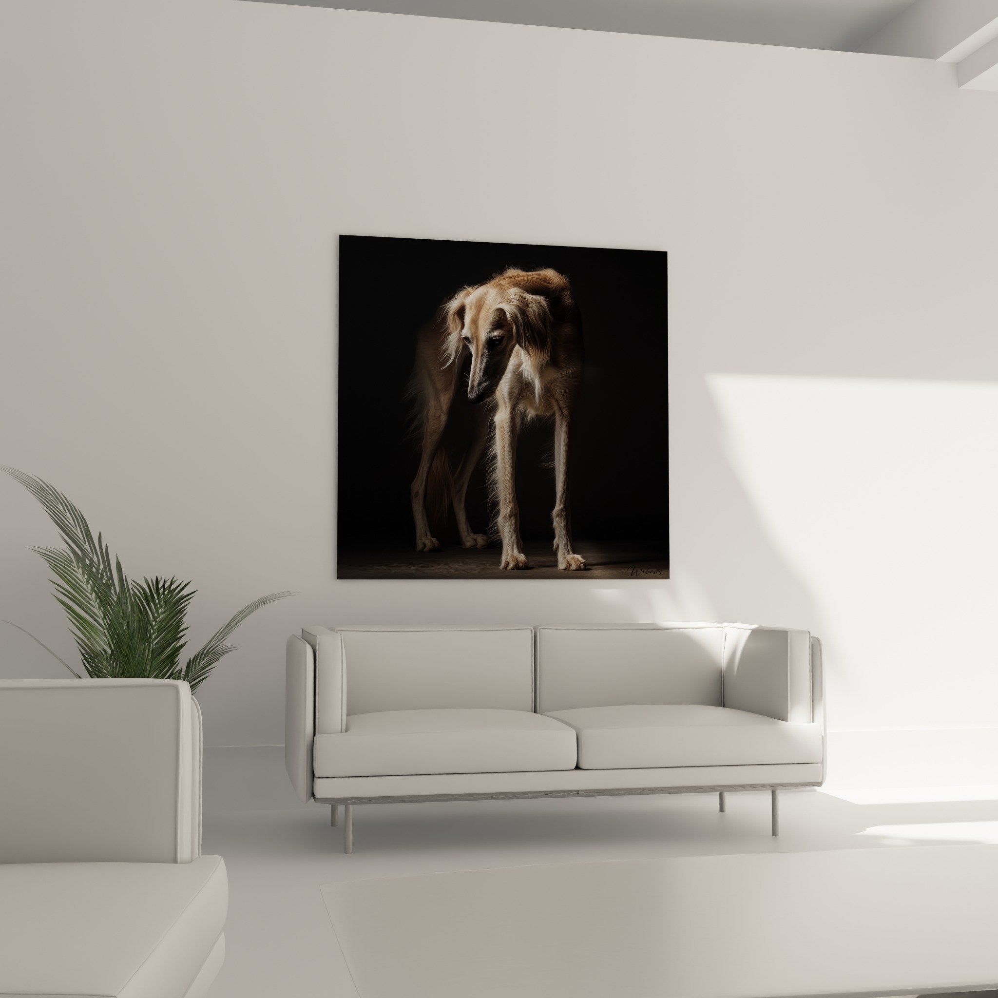 Détail du pelage soyeux et du regard contemplatif du lévrier Saluki aux nuances dorées