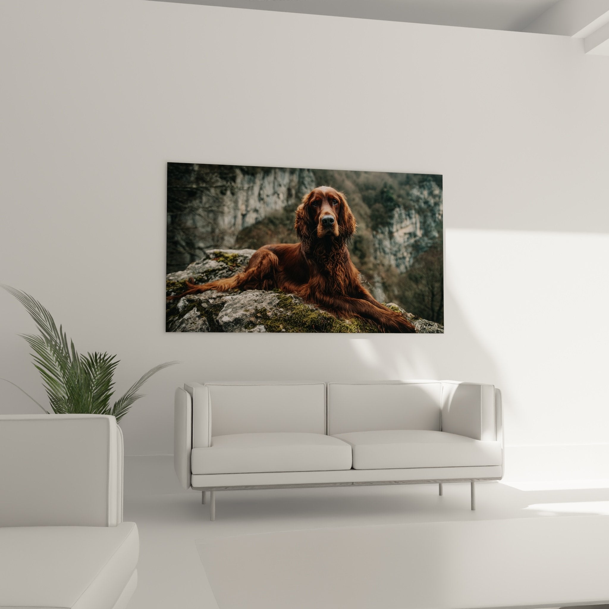 Détail tableau chien roux Setter Irlandais pelage ondulé texture mousse verte contraste chromatique