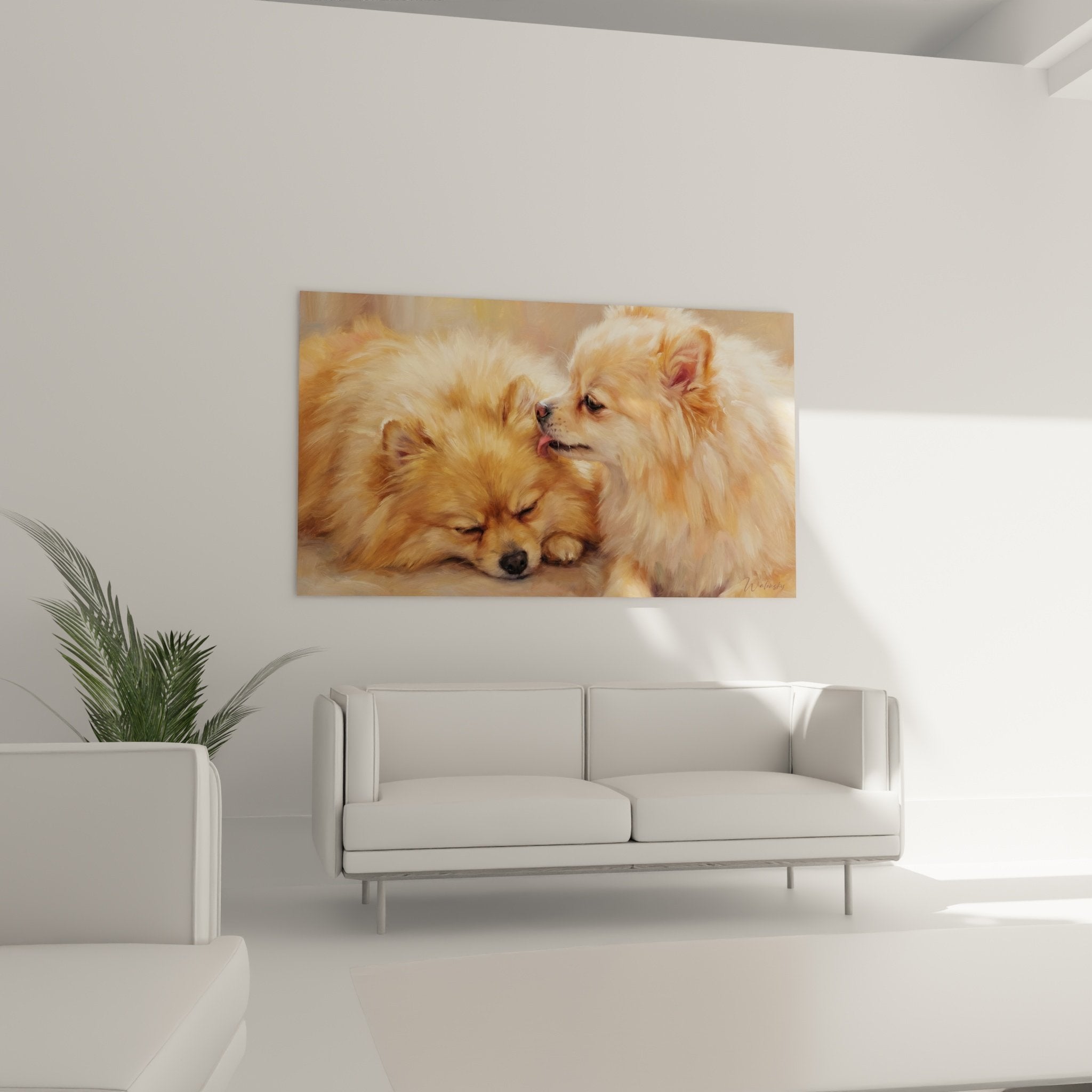 Nahaufnahme von Pommerschen Spitzen, die die seidenartige Textur der roten und cremefarbenen Fellzeichnungen zeigt