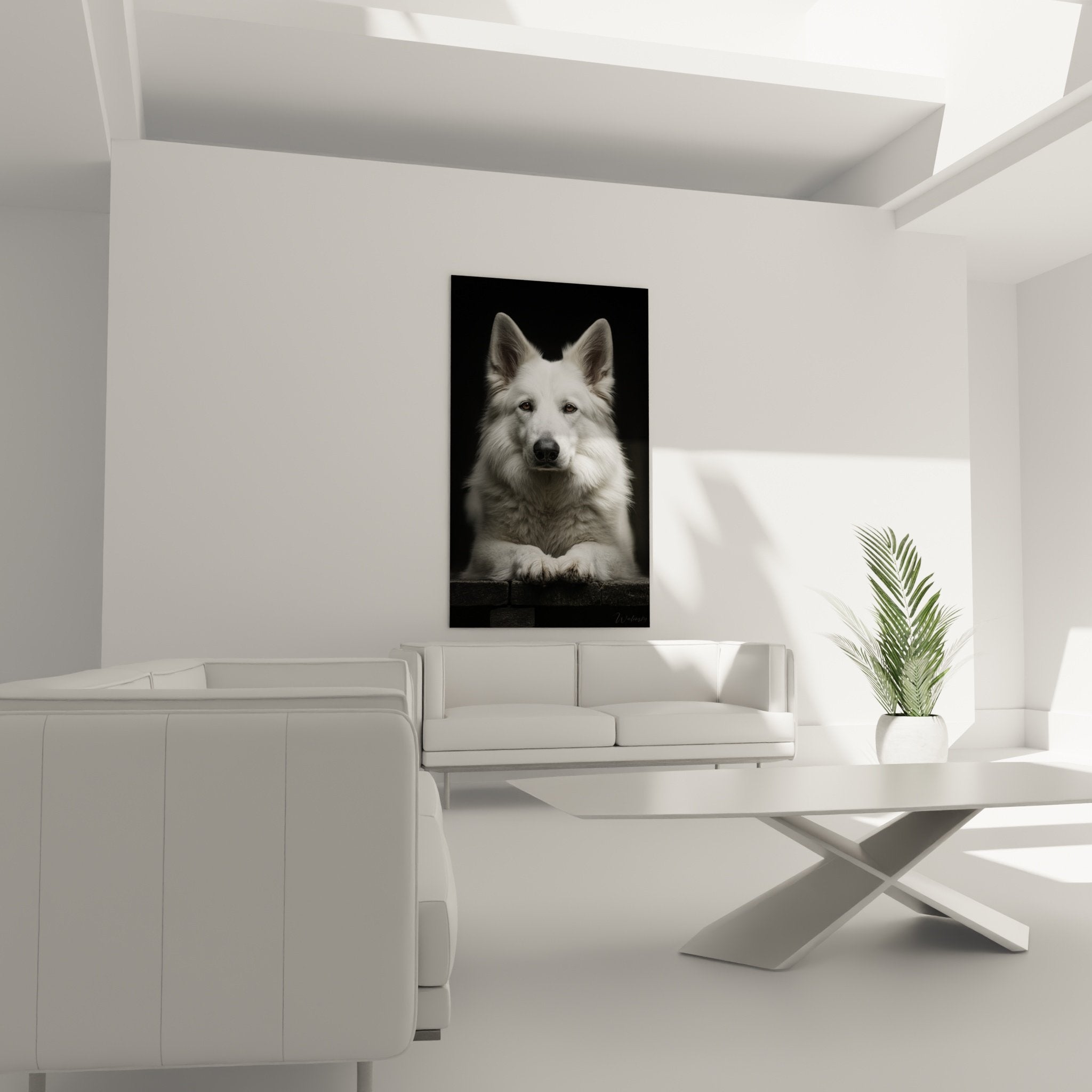 Detail portrait berger blanc suisse yeux expressifs pelage blanc technique photo artistique