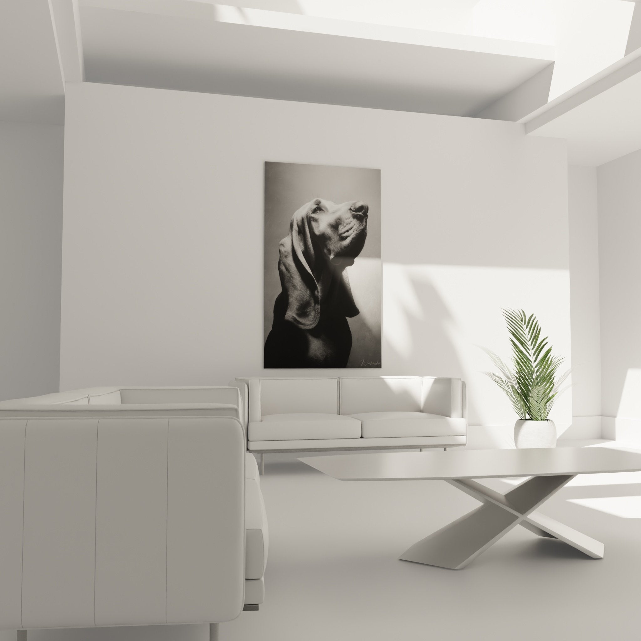 Détail du portrait Bloodhound noir et blanc, jeux d'ombres et lumière sur museau et oreilles expressifs