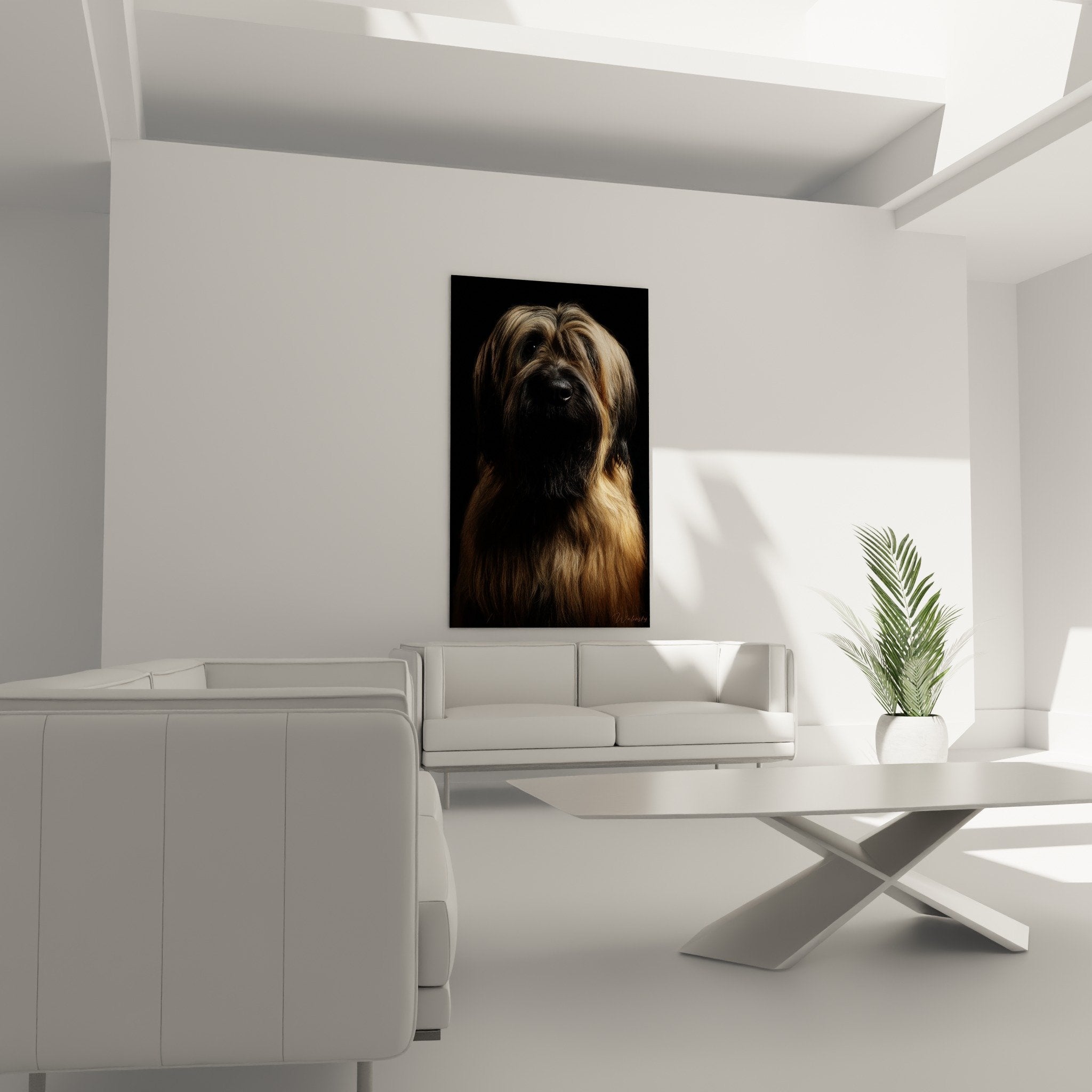 Detail portrait briard pelage dore texture soyeuse truffe noire gros plan artistique