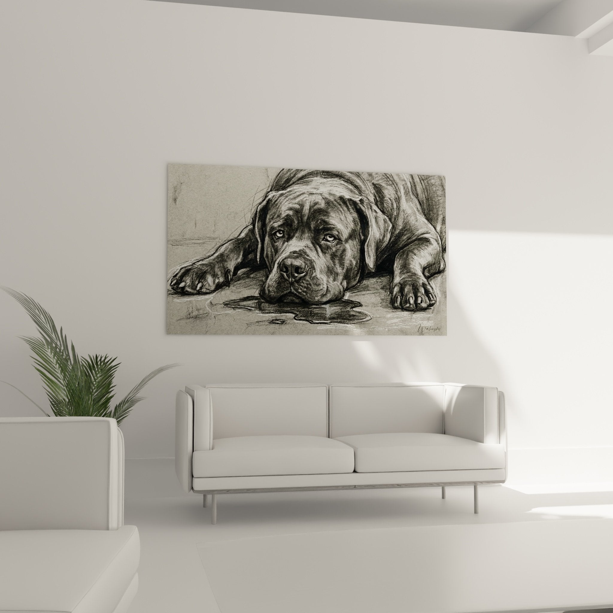 Détail portrait Cane Corso fusain regard expressif technique artistique noir blanc texture pelage