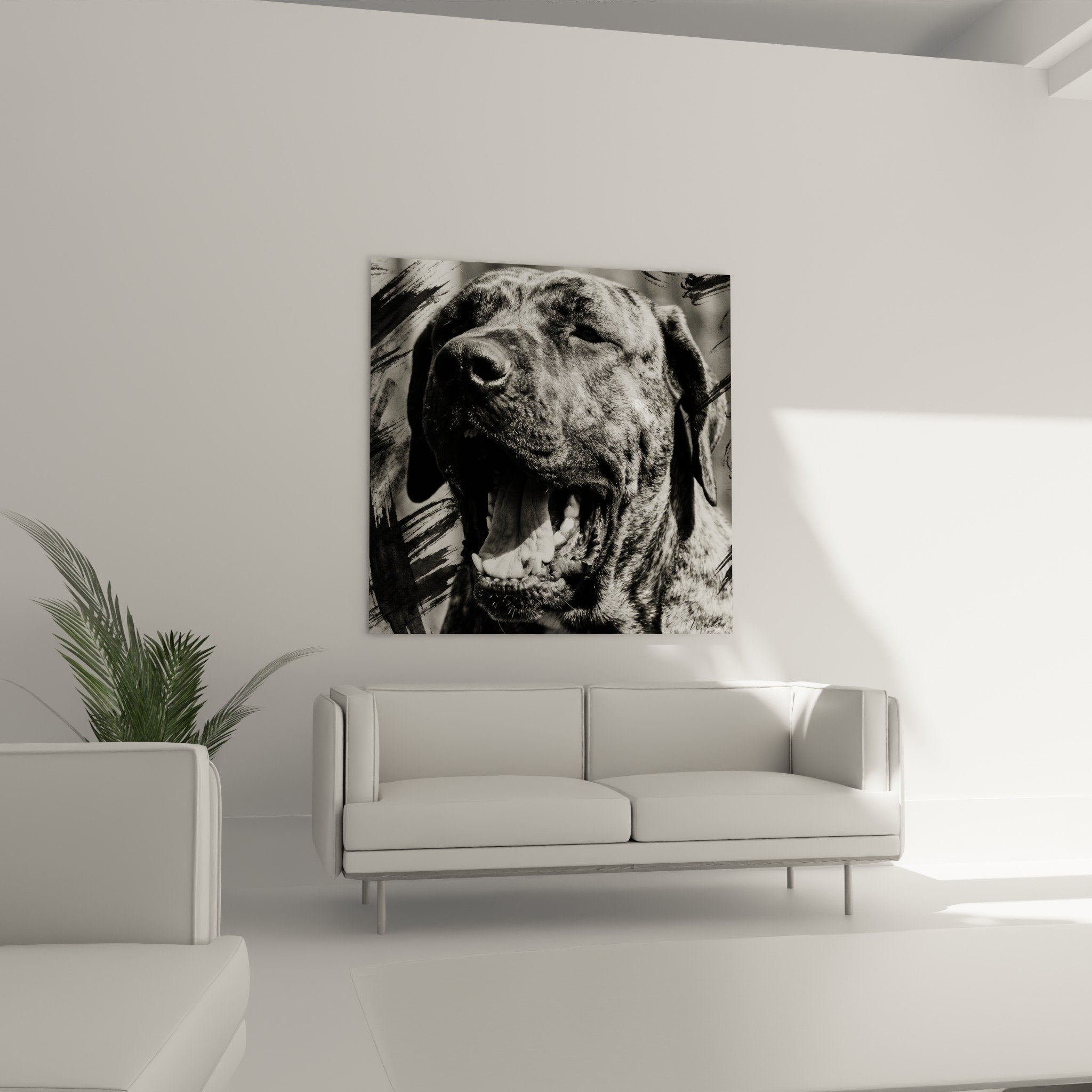 Détail rapproché portrait canin Fila Brasileiro monochrome expression naturelle authentique