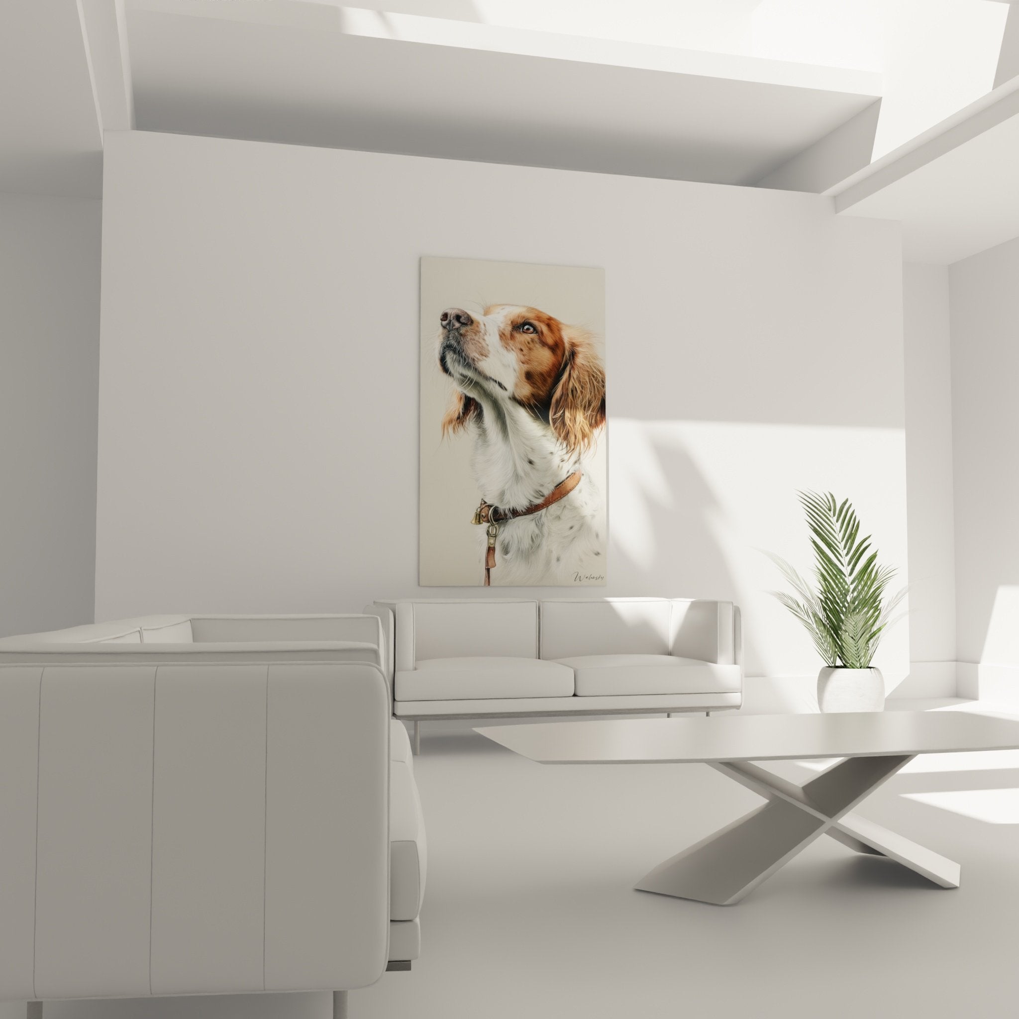 detail portrait epagneul breton pelage roux blanc truffe noire collier cuir