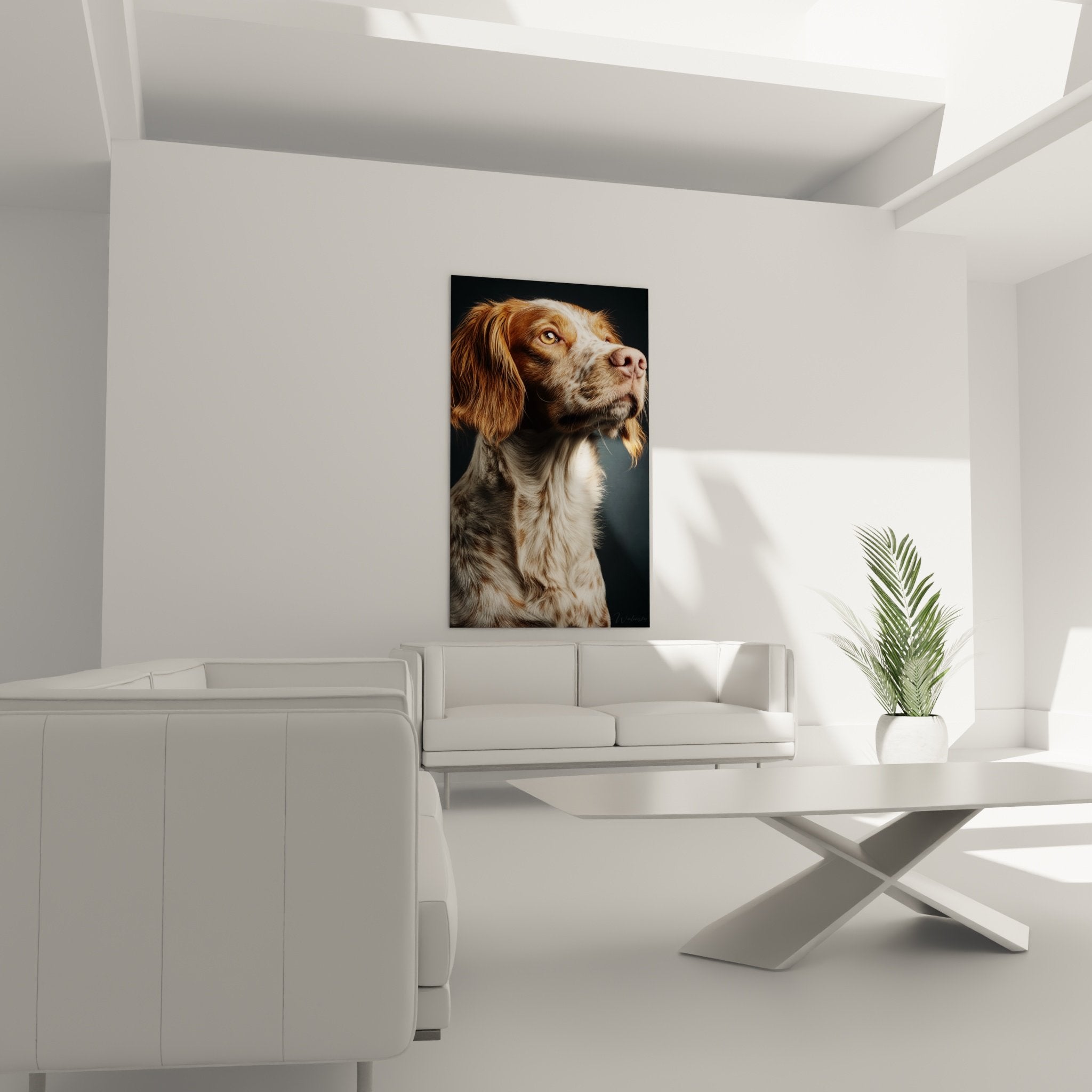 Détail portrait Epagneul Breton, yeux ambrés expressifs, pelage aux reflets dorés et cuivrés