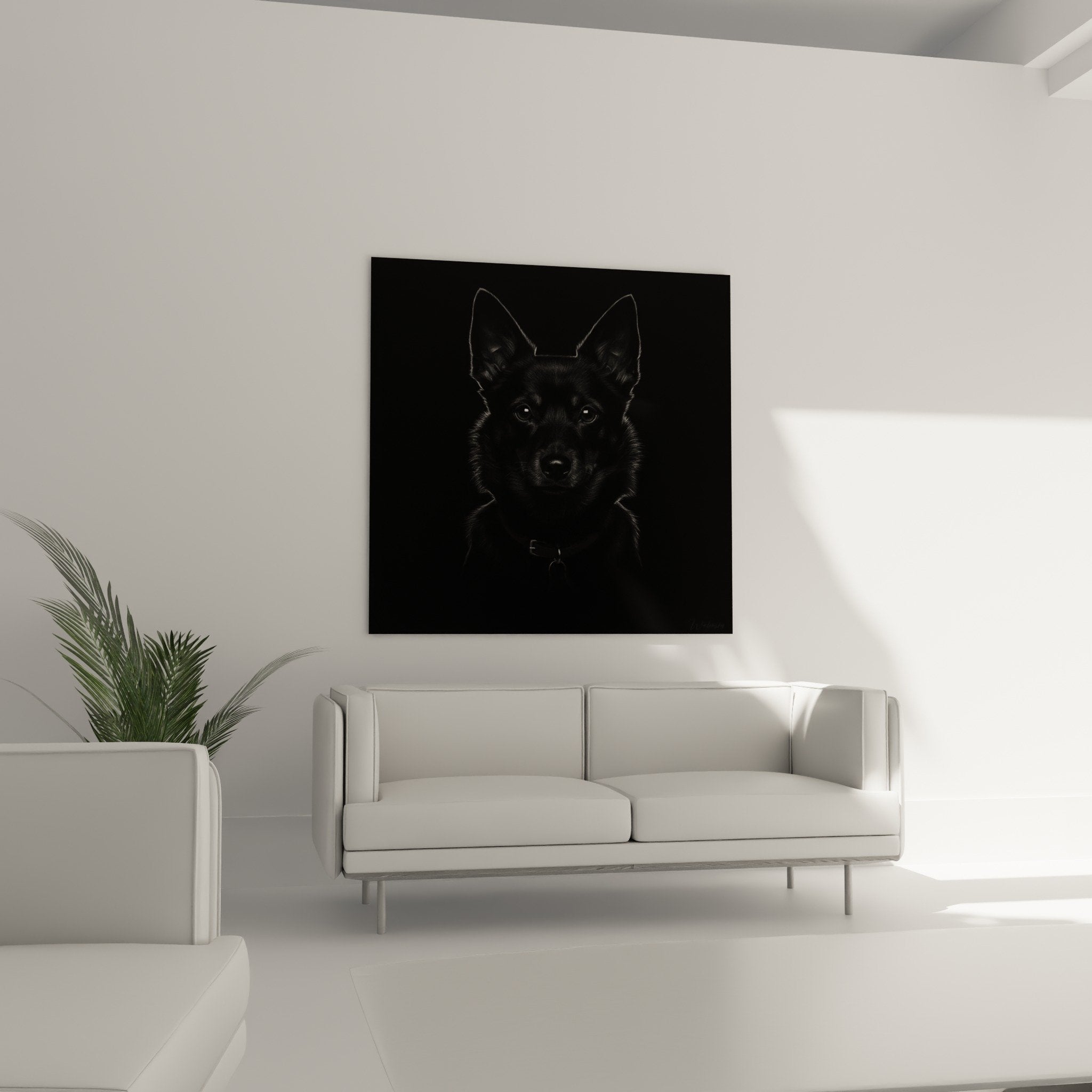 Schipperke portrait detail expressive eyes black fur artistic texture black and white