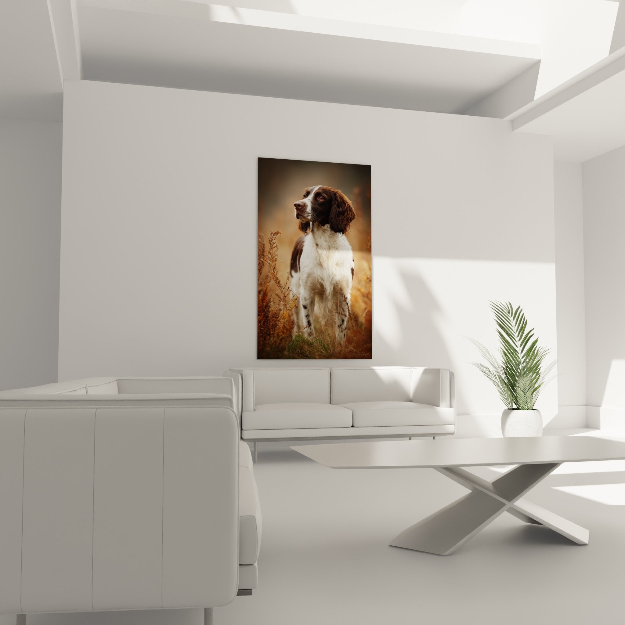 Détail portrait Springer Anglais, pelage roux et blanc, expression douce et noble, qualité artistique