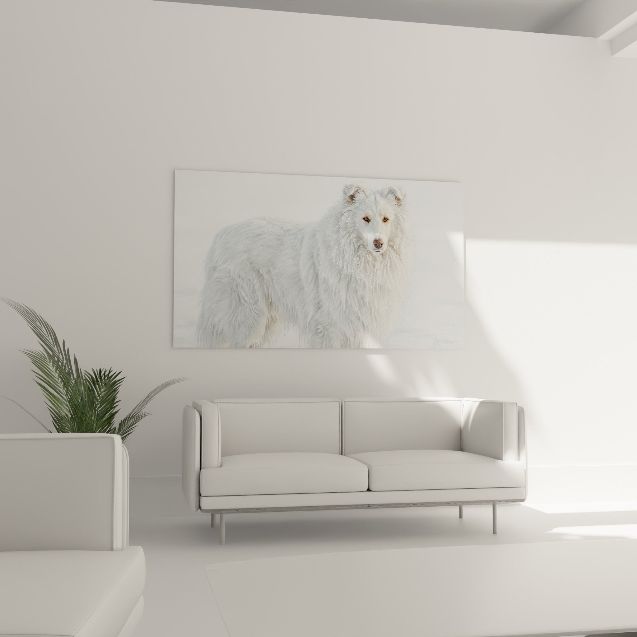 Détail du regard ambré et du pelage blanc neigeux du Collie, gros plan tableau artistique
