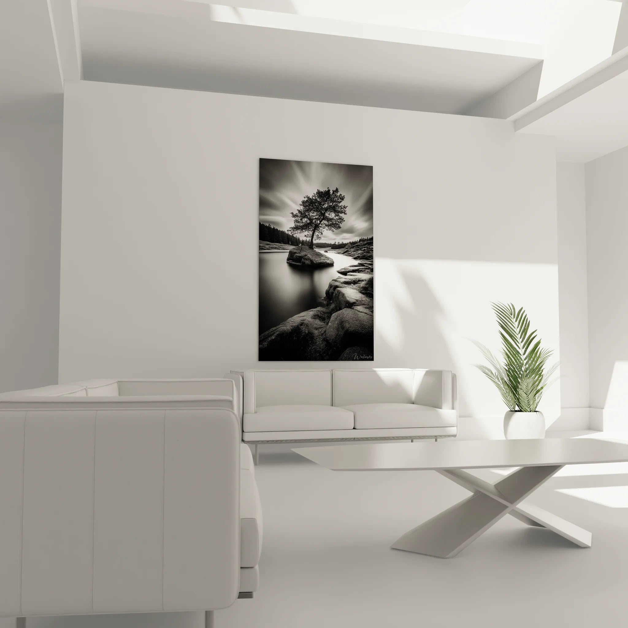 Détail tableau arbre sur rocher noir blanc, photographie artistique nature monochrome