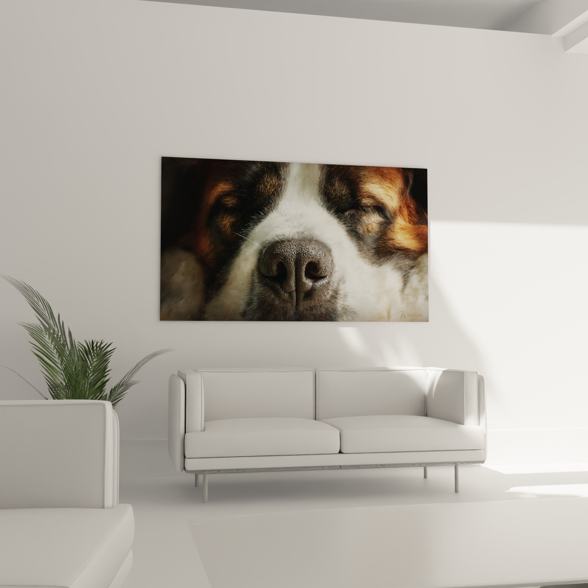 Detail texture pelage et truffe noire Saint Bernard photo artistique haute definition