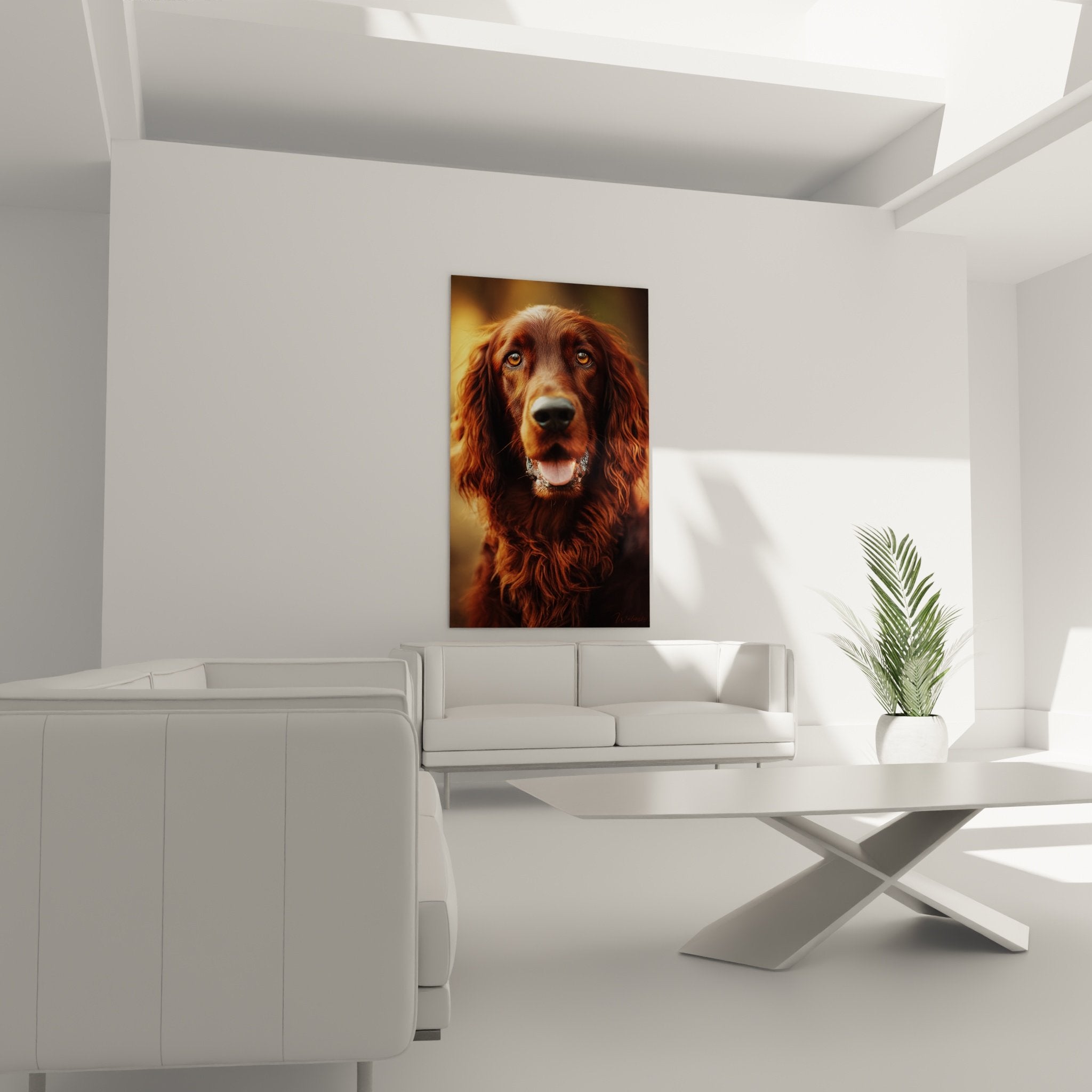 Gros plan yeux ambre Setter Irlandais pelage cuivre ondule texture soyeuse details portrait chien expression douce