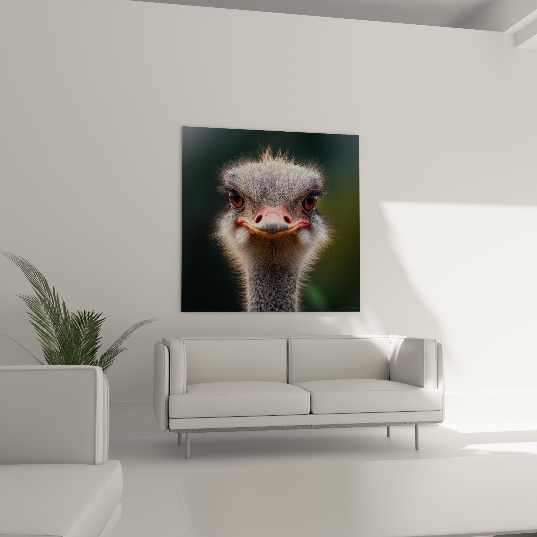 Détail gros plan yeux ambrés autruche plumes grises texture naturelle portrait animalier expressif