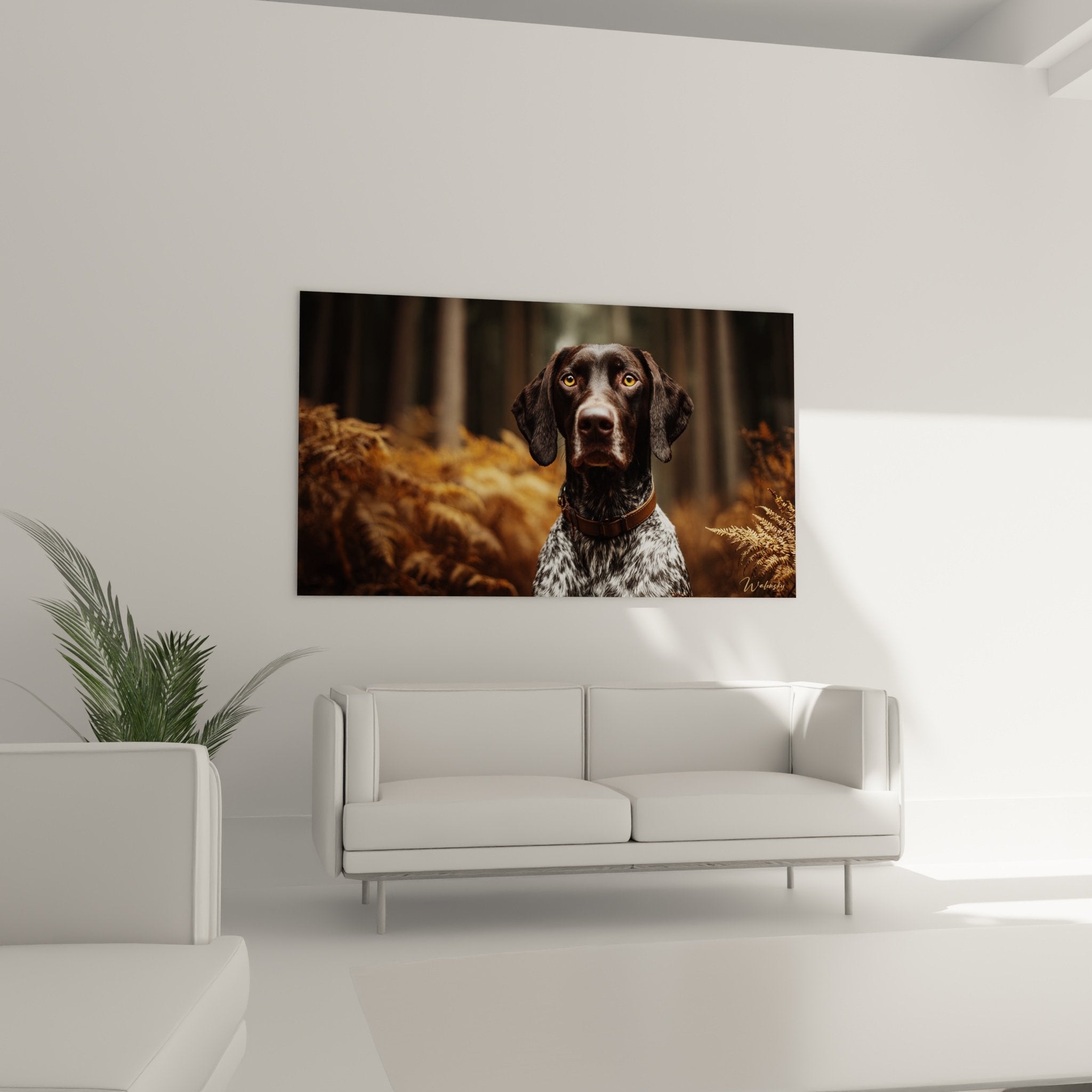 Détail yeux dorés Braque Allemand portrait rapproché pelage texture moucheté brun blanc art animalier