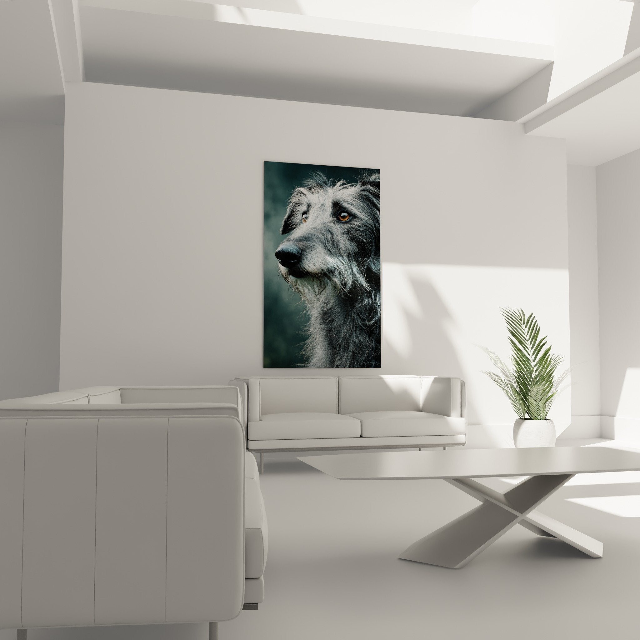 detail yeux dores deerhound pelage gris texture soyeuse portrait artistique haute qualite