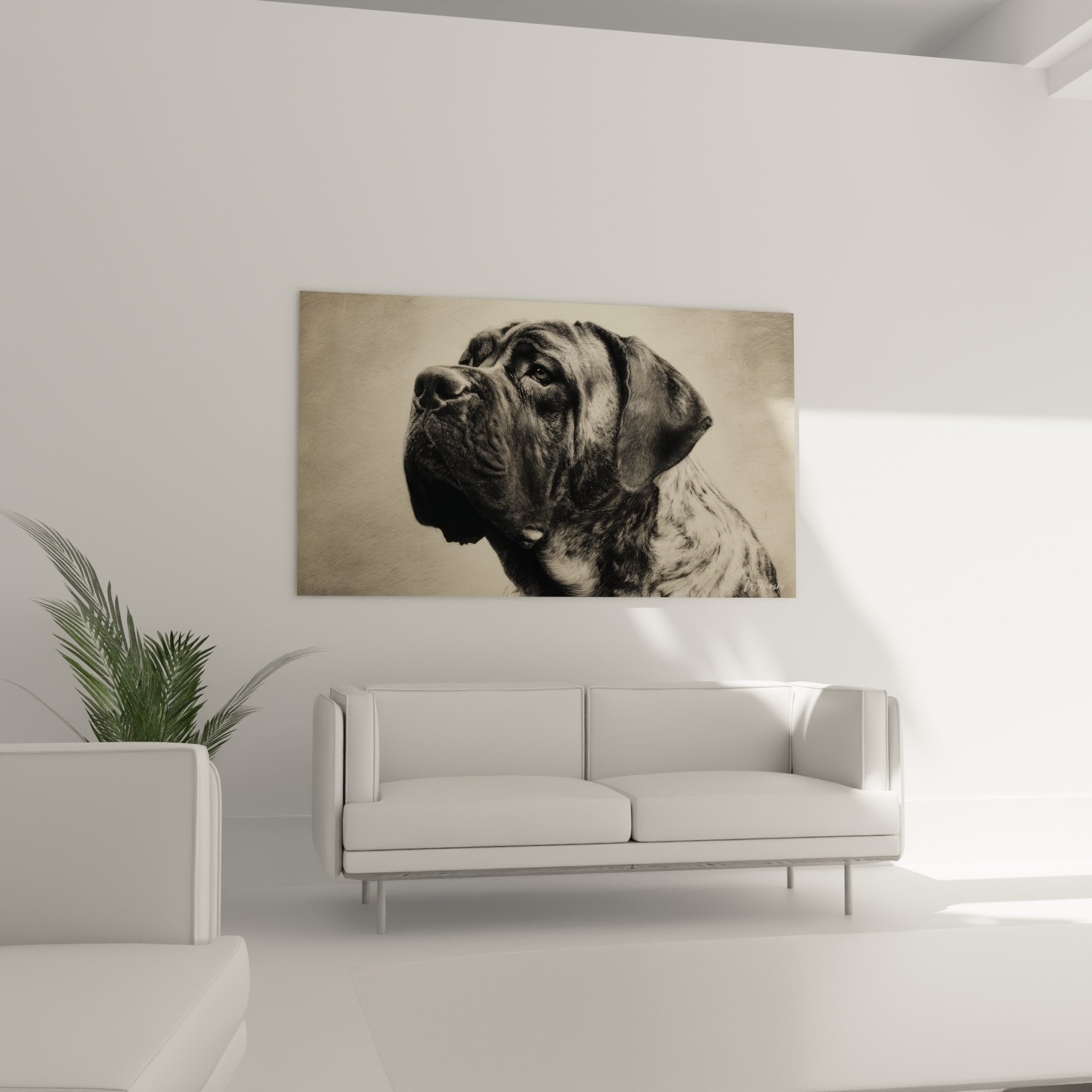 Gros plan sur les détails du portrait monochrome révélant la texture du pelage du Mastiff Anglais