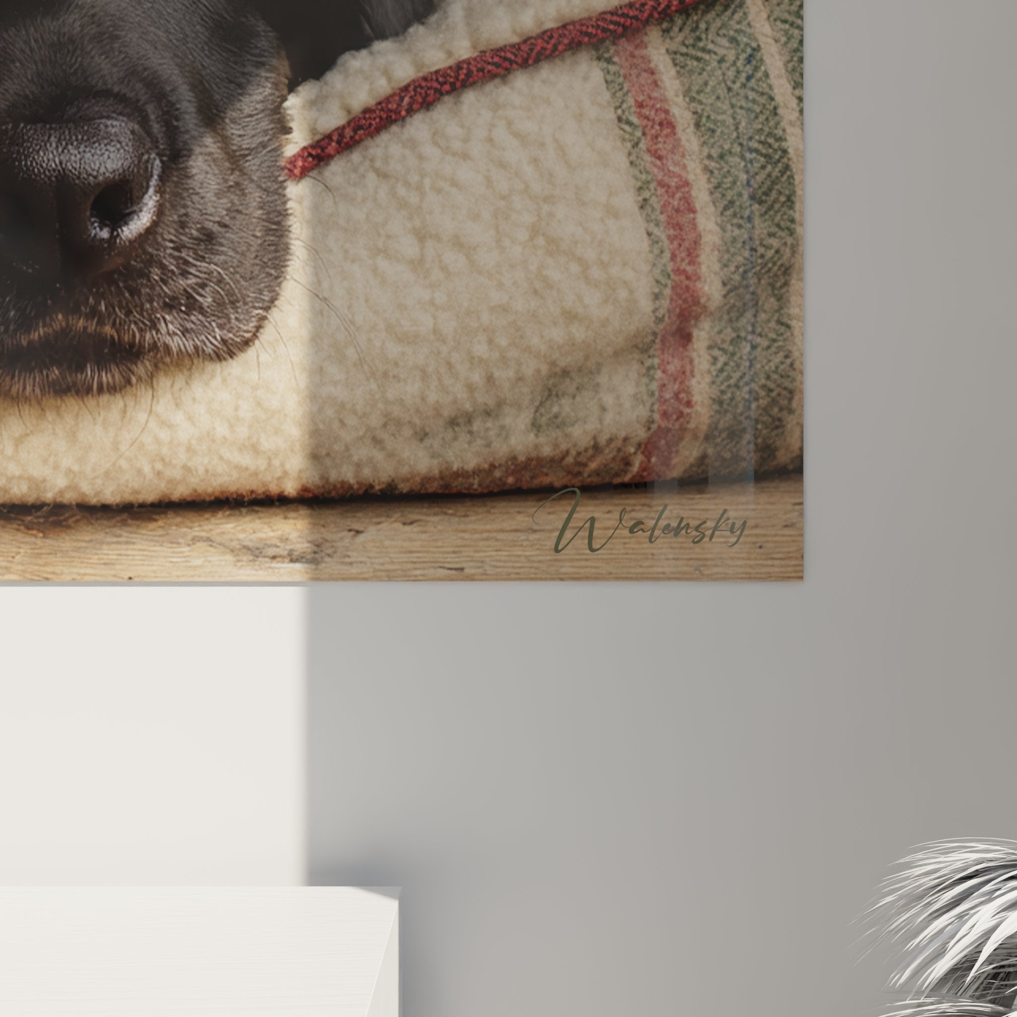 Overall view labrador resting painting complicit decor warm interior neutral tones