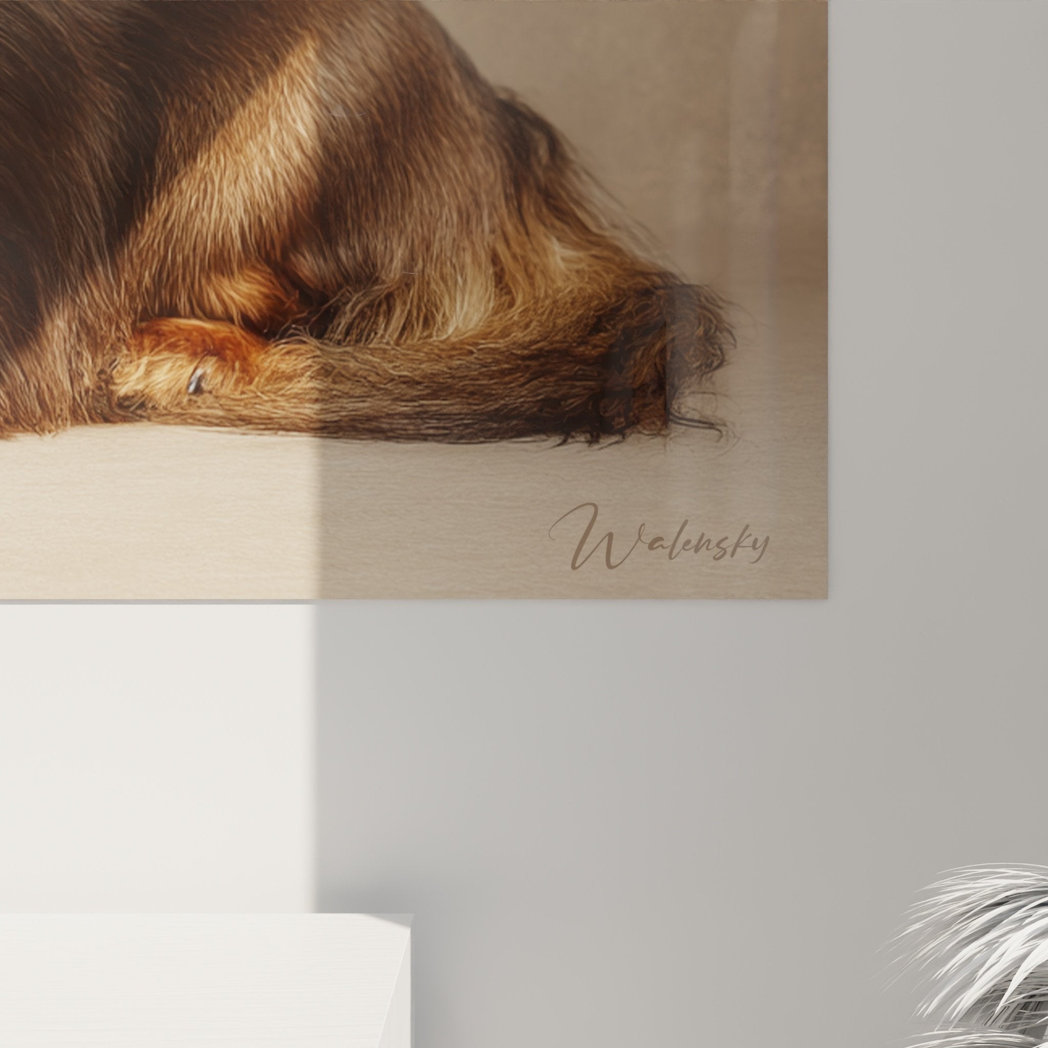 Vue ensemble tableau teckel poil long chocolat decoration interieur mur beige cadre elegant