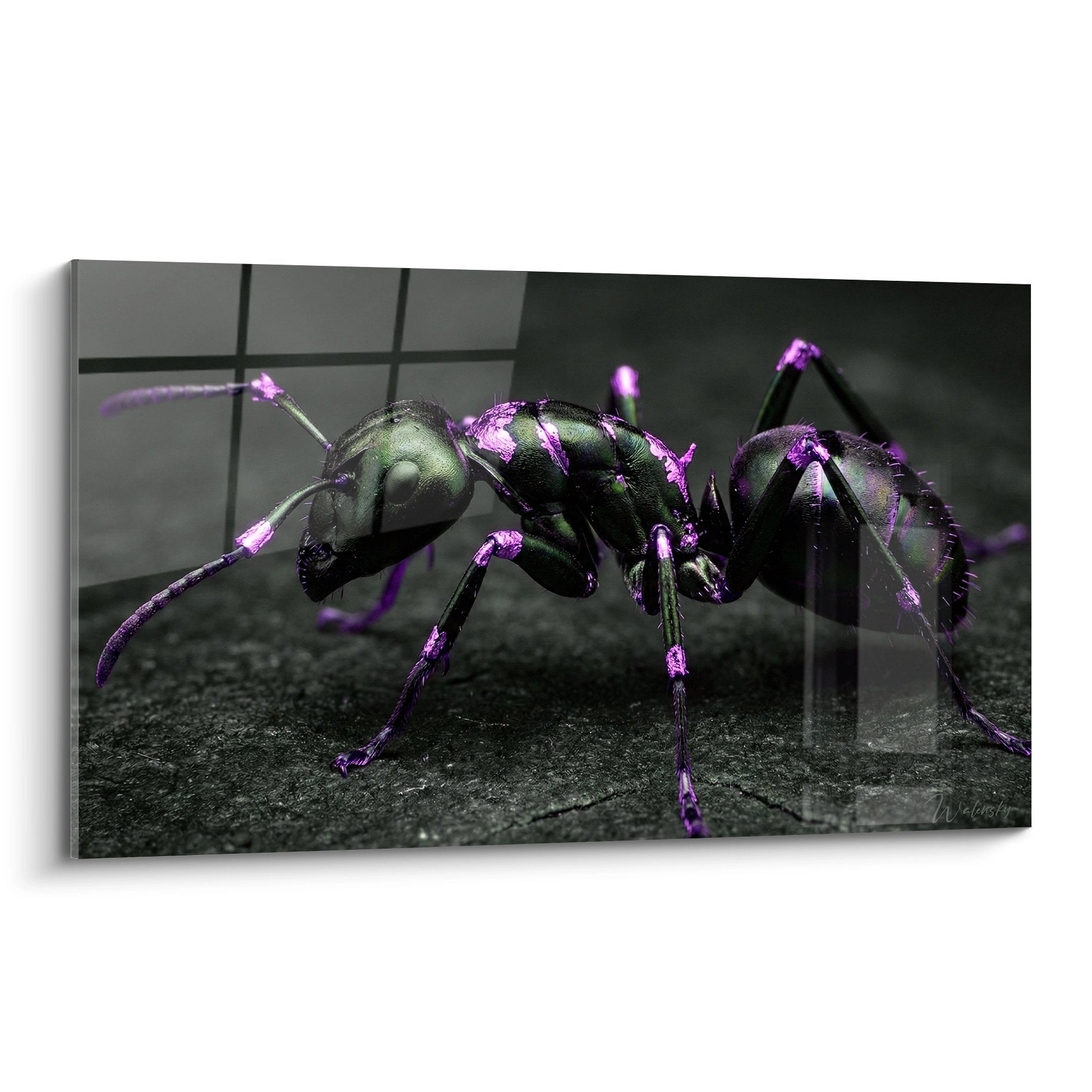 Ameisen-Kunstwerk mit violetten metallischen Reflexen auf dunklem Hintergrund - Walensky Ameisen Edition zeitgenössische Kunst