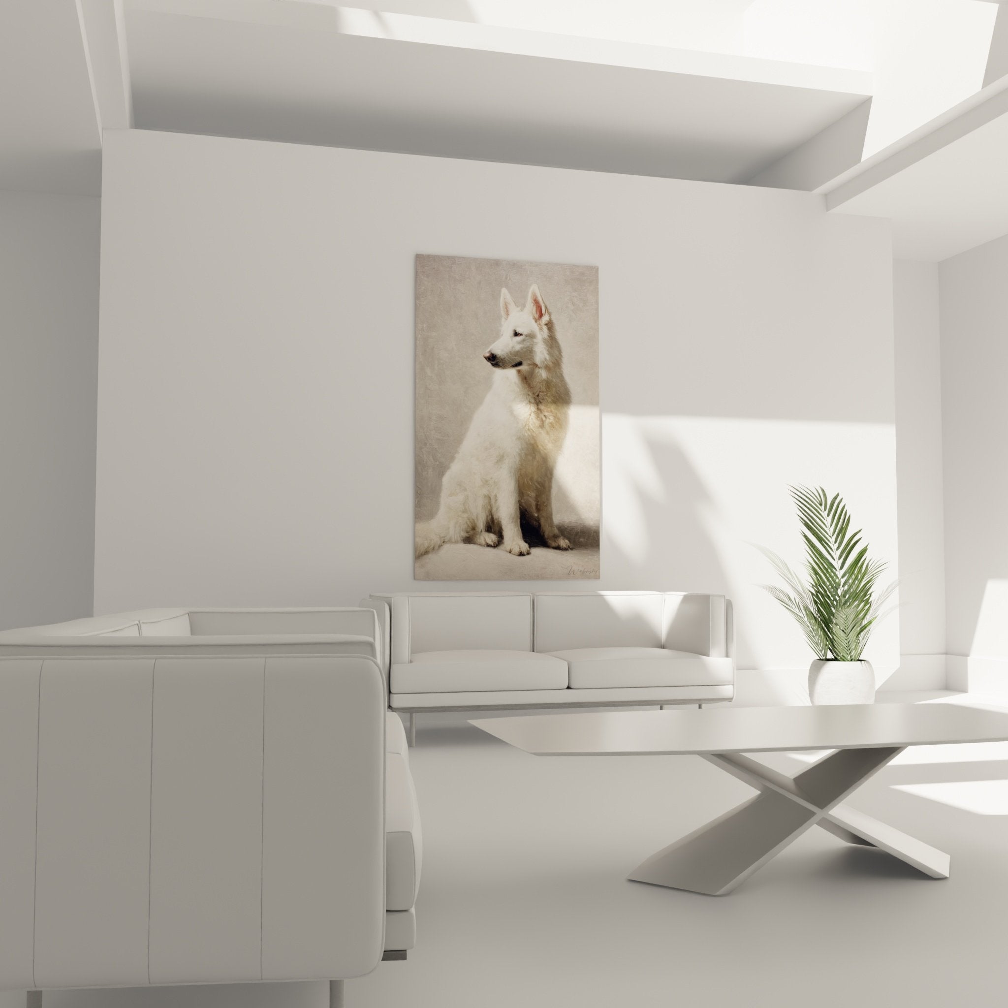 Gros plan portrait Berger Blanc Suisse pelage blanc regard intelligent art animalier