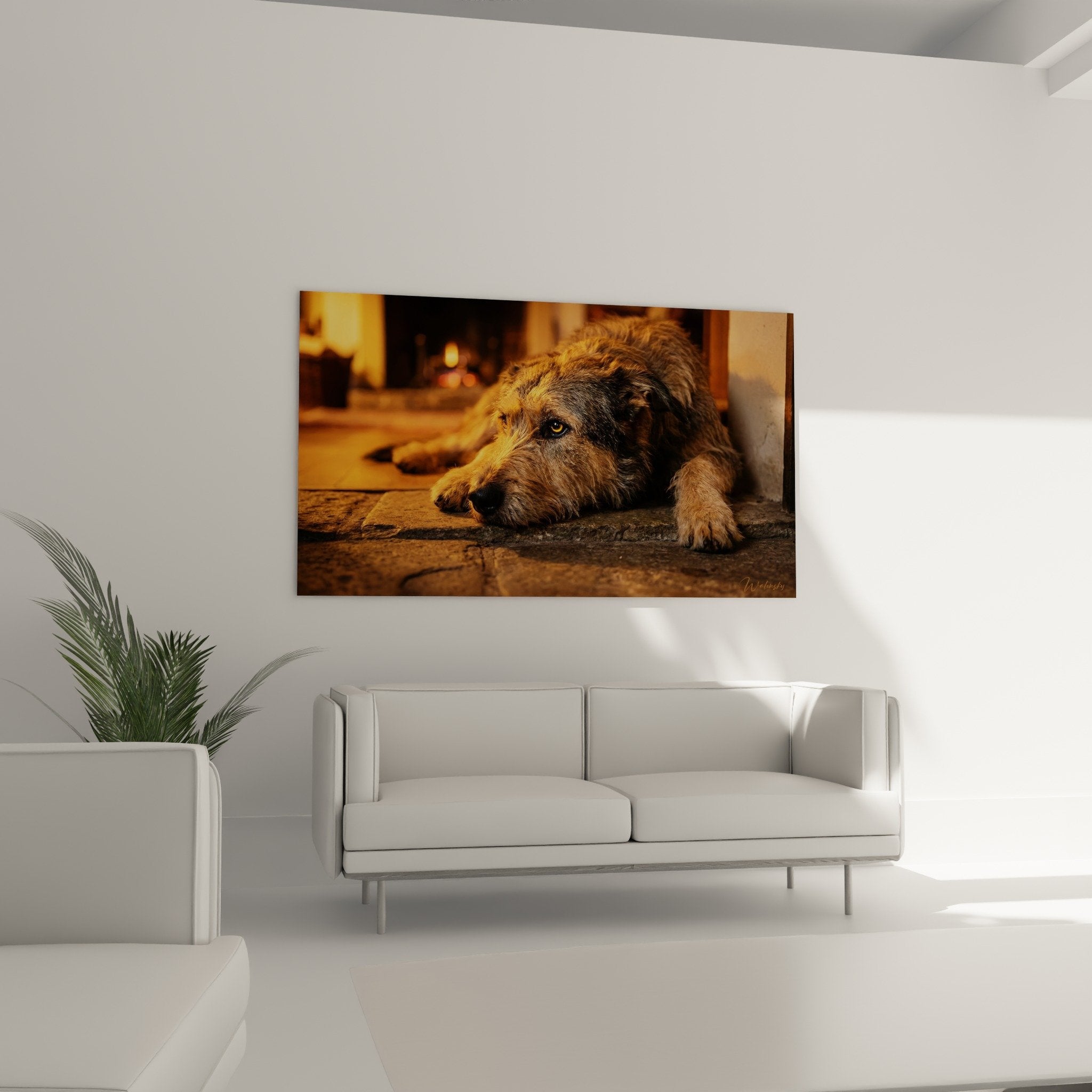 Close-up Berger Picard painting fawn coat copper reflections hair texture details amber expressive eyes