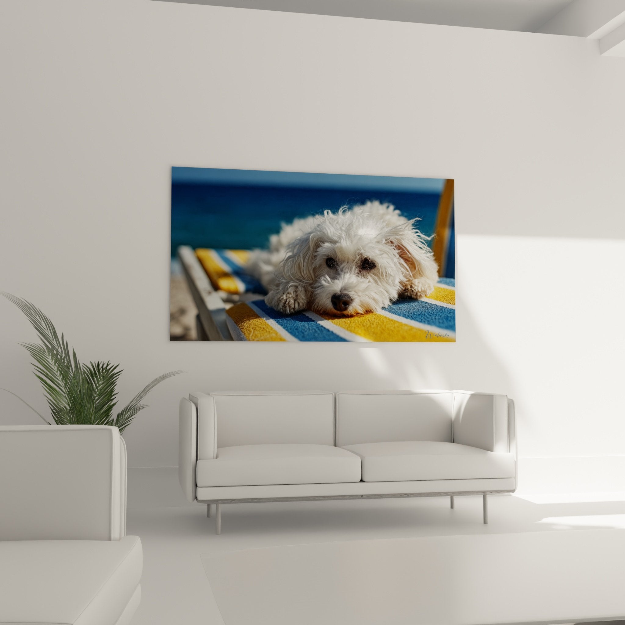 Gros plan sur Bichon Frisé aux poils bouclés blancs reposant sur textile rayé bleu jaune