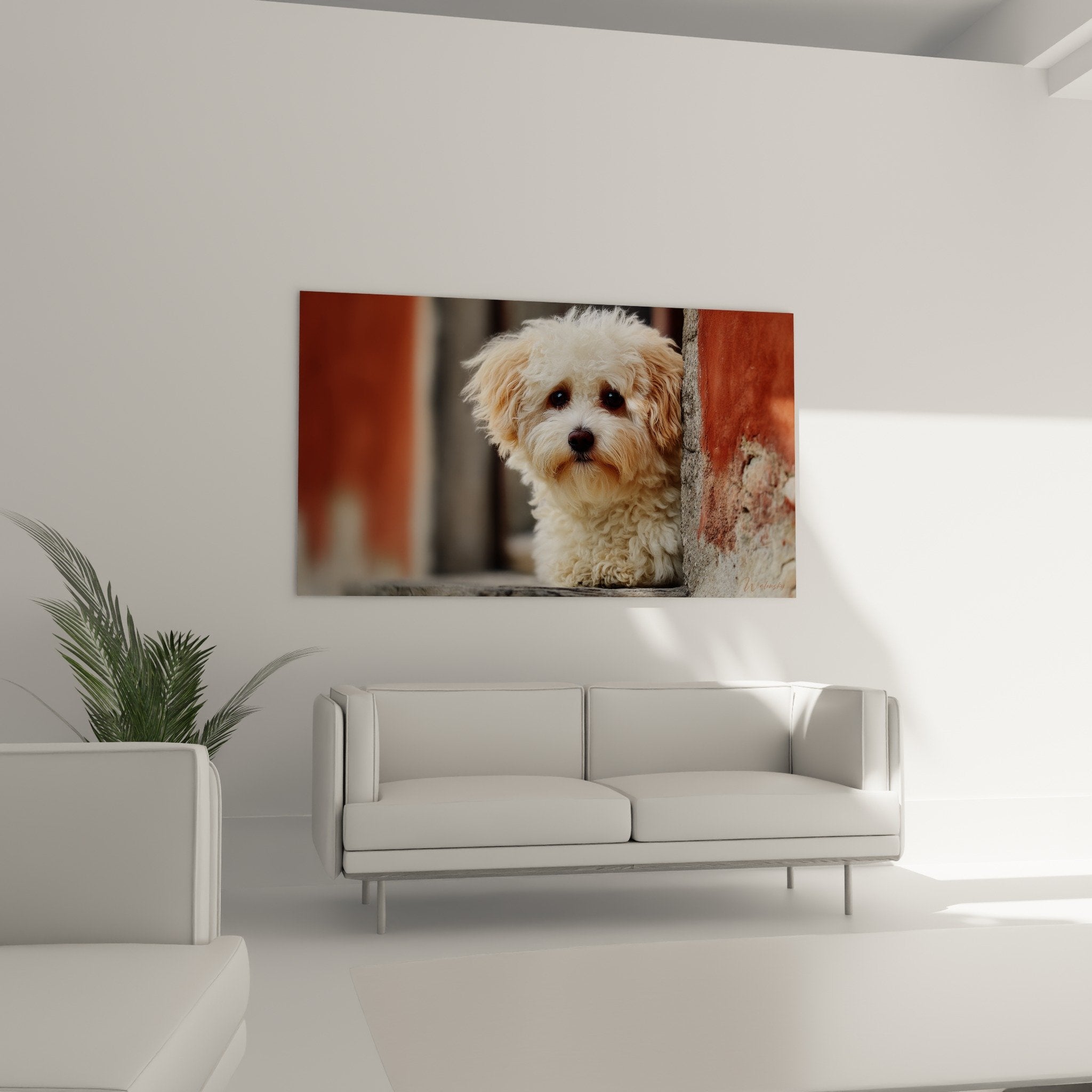 Gros plan tableau chiot Bichon Havanais yeux expressifs pelage boucle texture detaillee