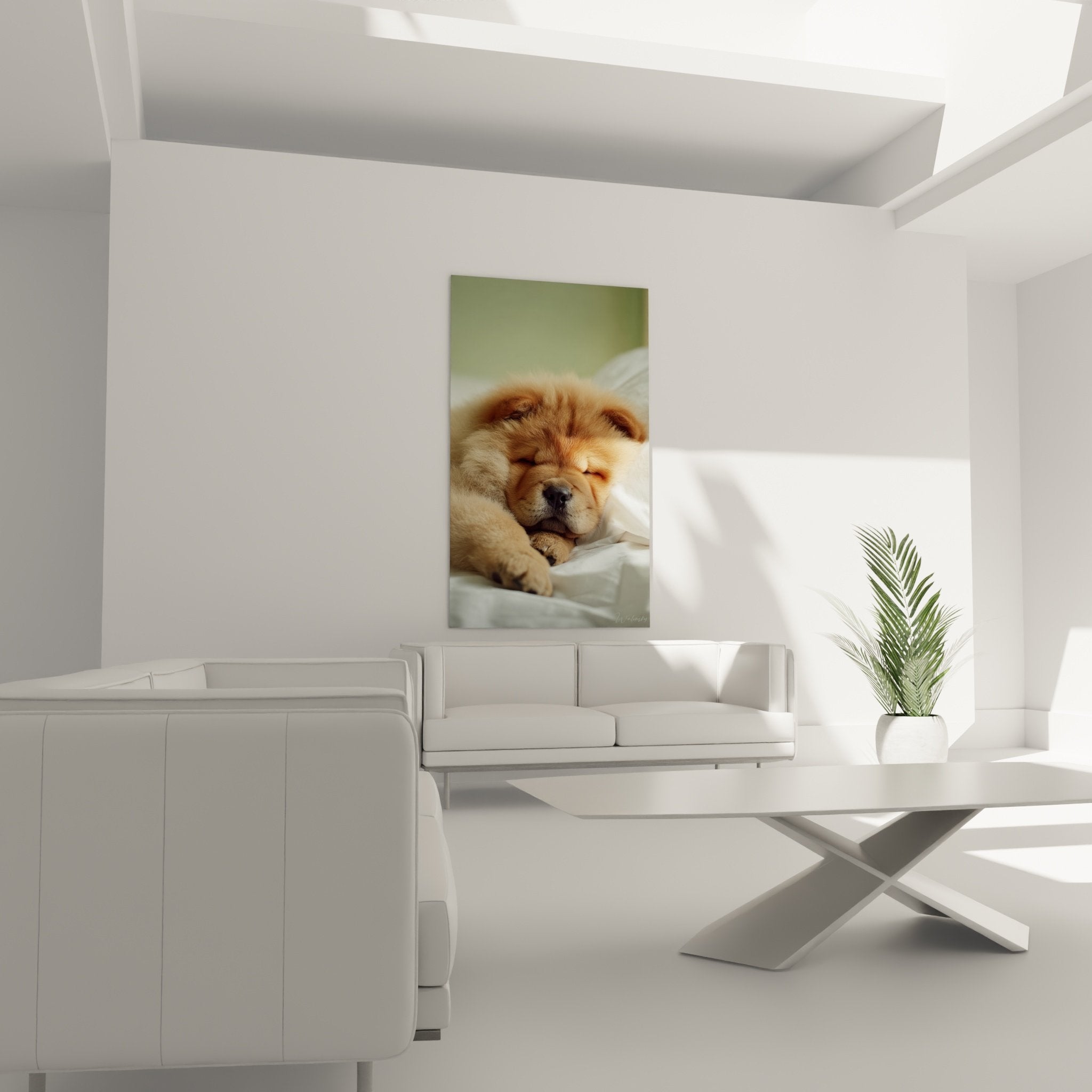 Gros plan attendrissant sur chiot Chow Chow aux yeux fermés dormant dans literie blanche