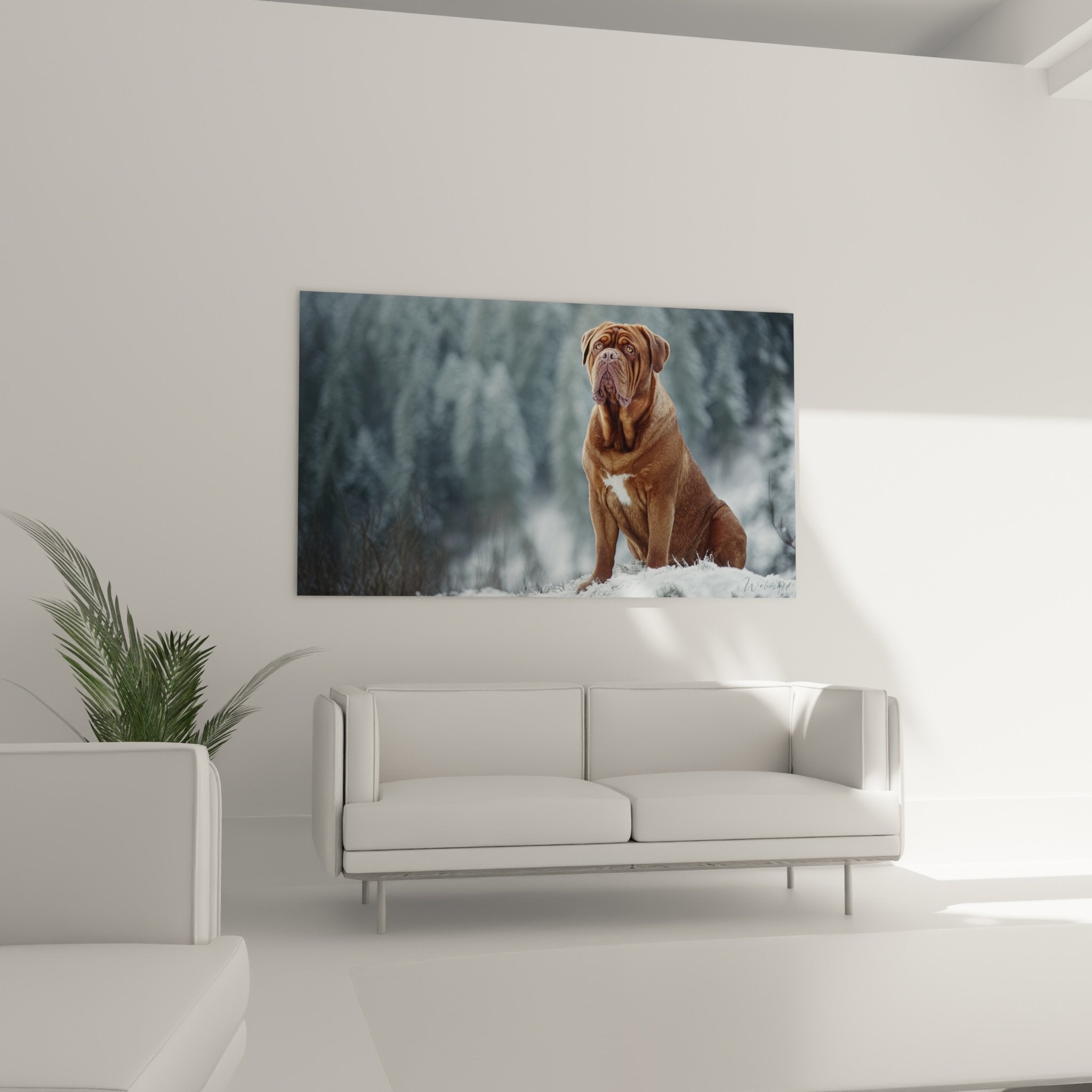 Gros plan dogue bordeaux tableau, detail pelage fauve, expression sereine chien hiver