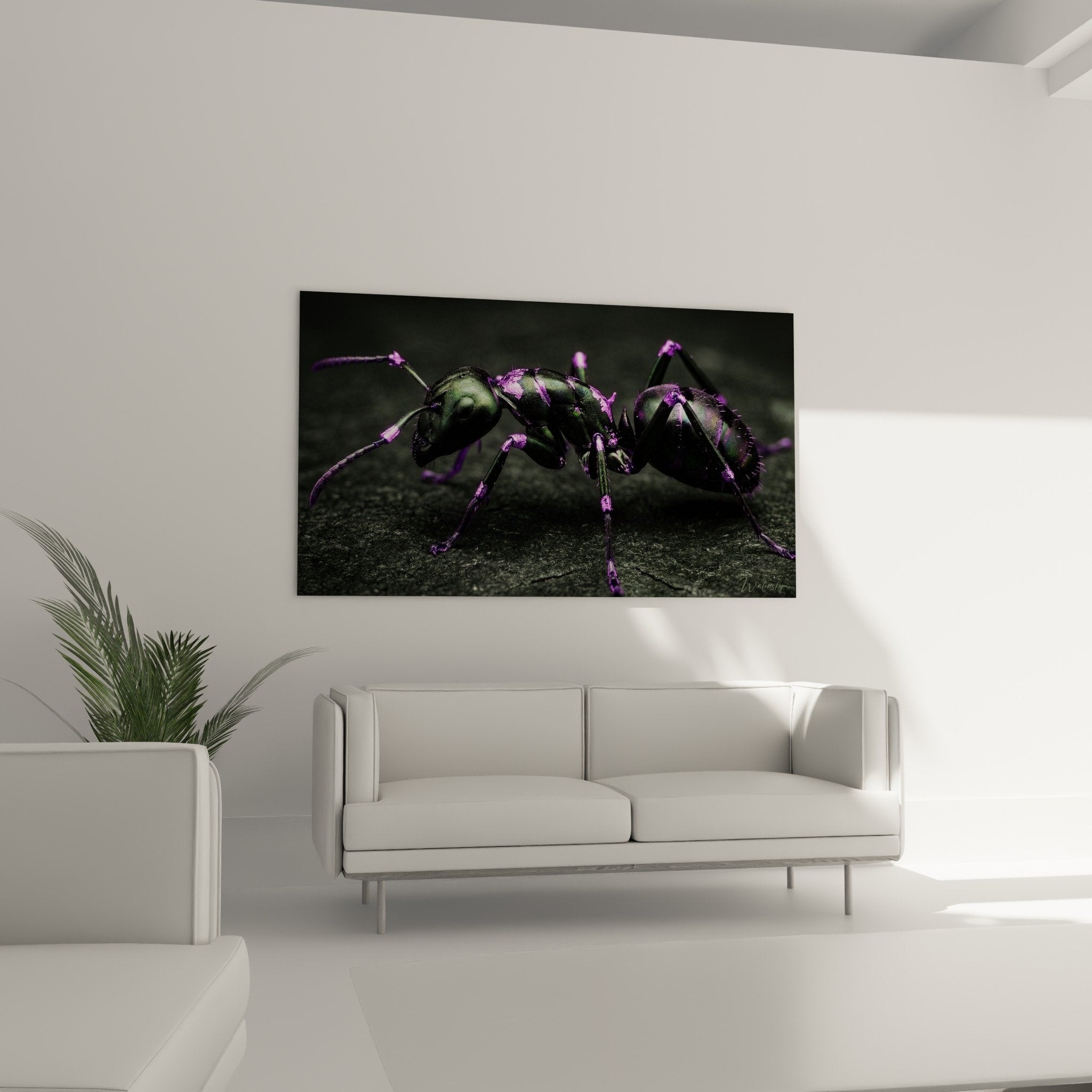 Nahaufnahme Ameise mit violetten metallischen Reflexen - Künstlerische Details Edition Ameise hochauflösend