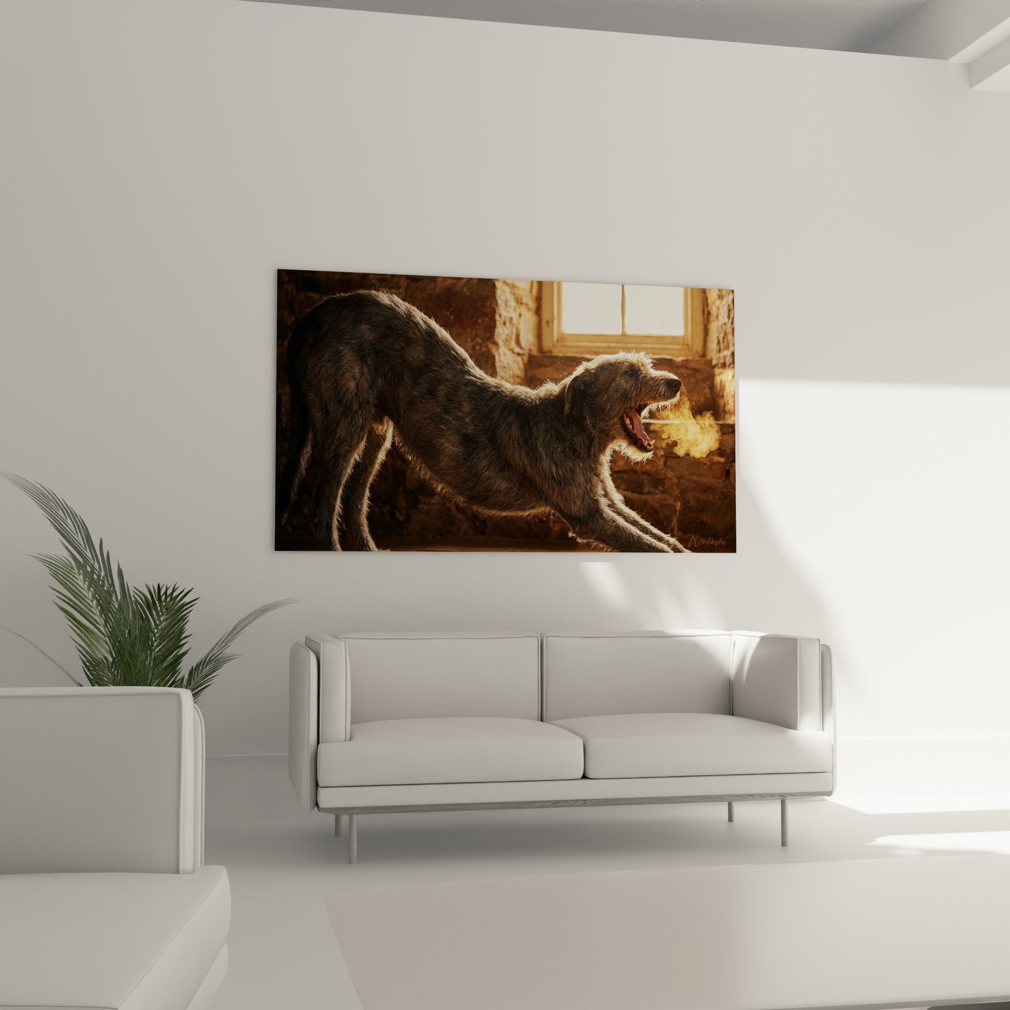 Gros plan Irish Wolfhound expression authentique pelage gris brun lumiere naturelle